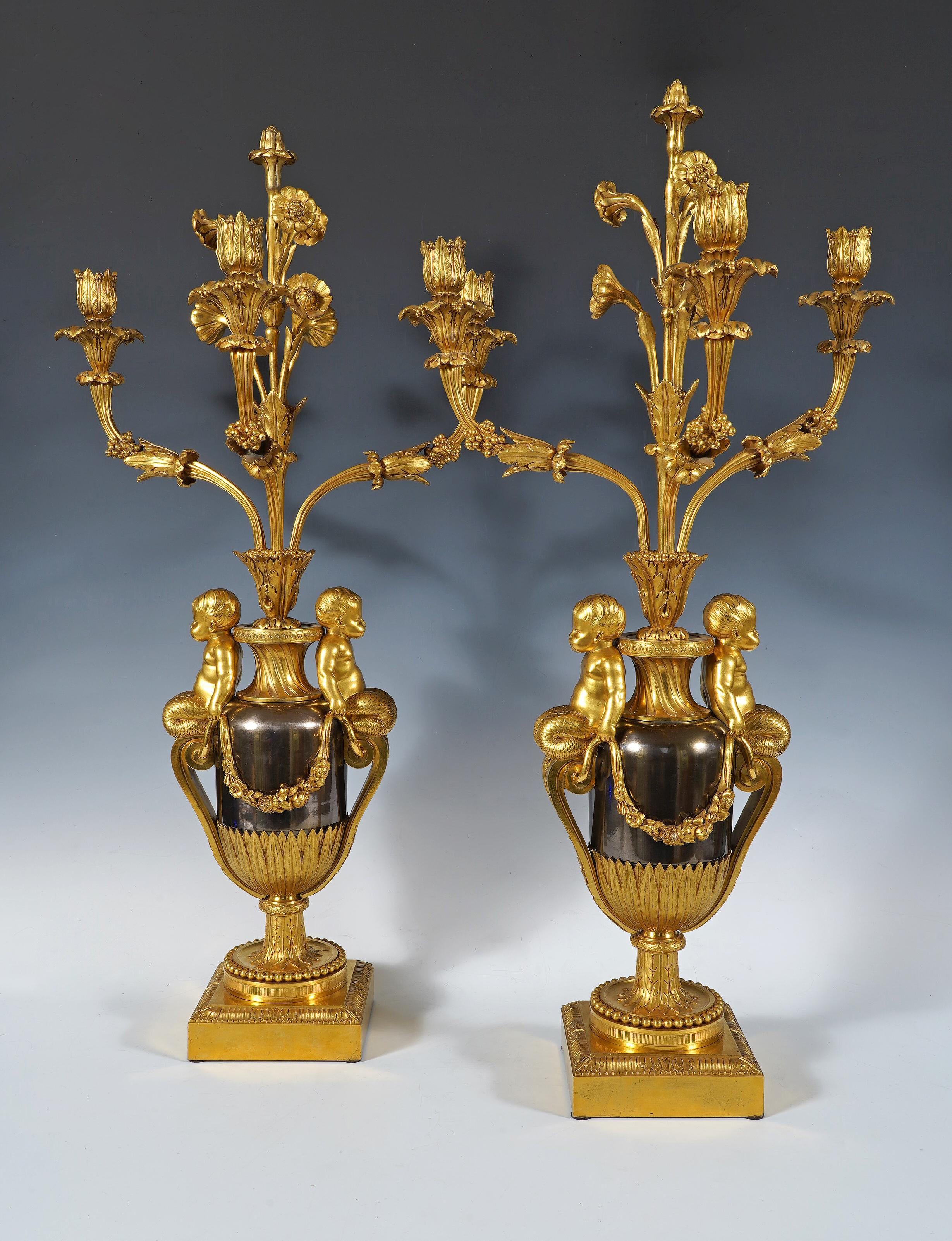 Bellissima coppia di vasi a forma di anfora in stile Luigi XVI in bronzo dorato e 