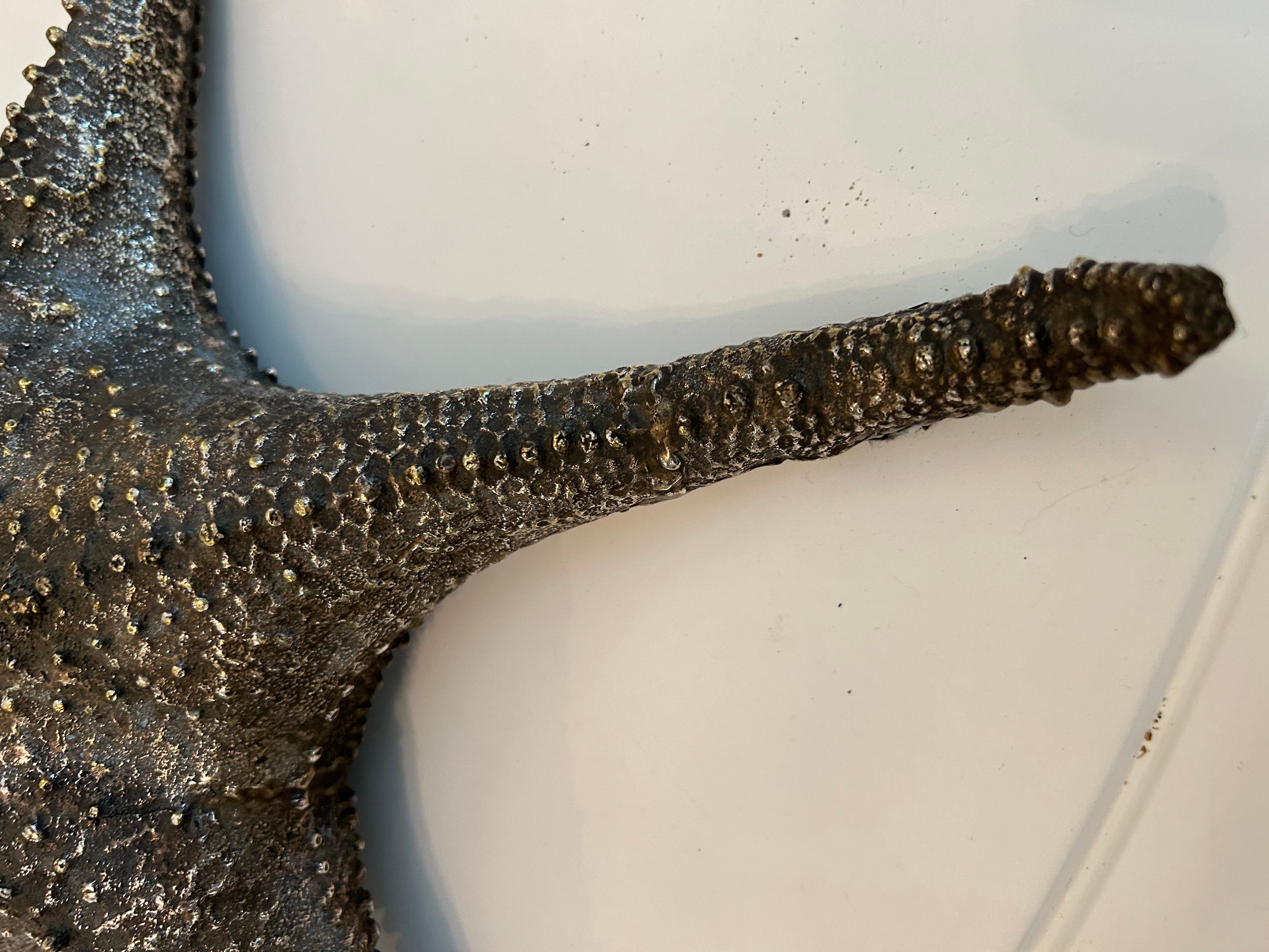 Maitland Smith bronze starfish 4
