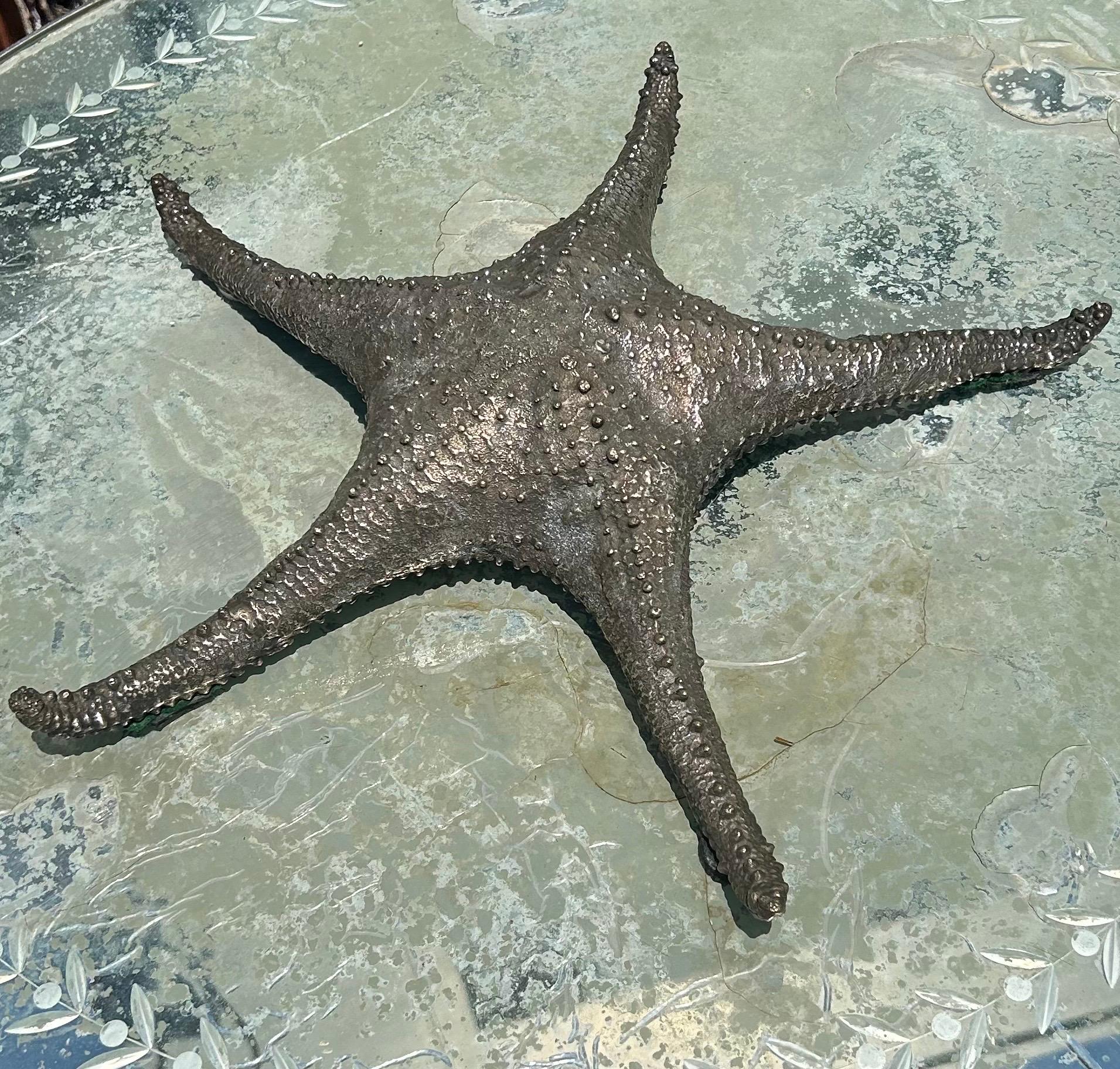 Maitland Smith bronze starfish 7