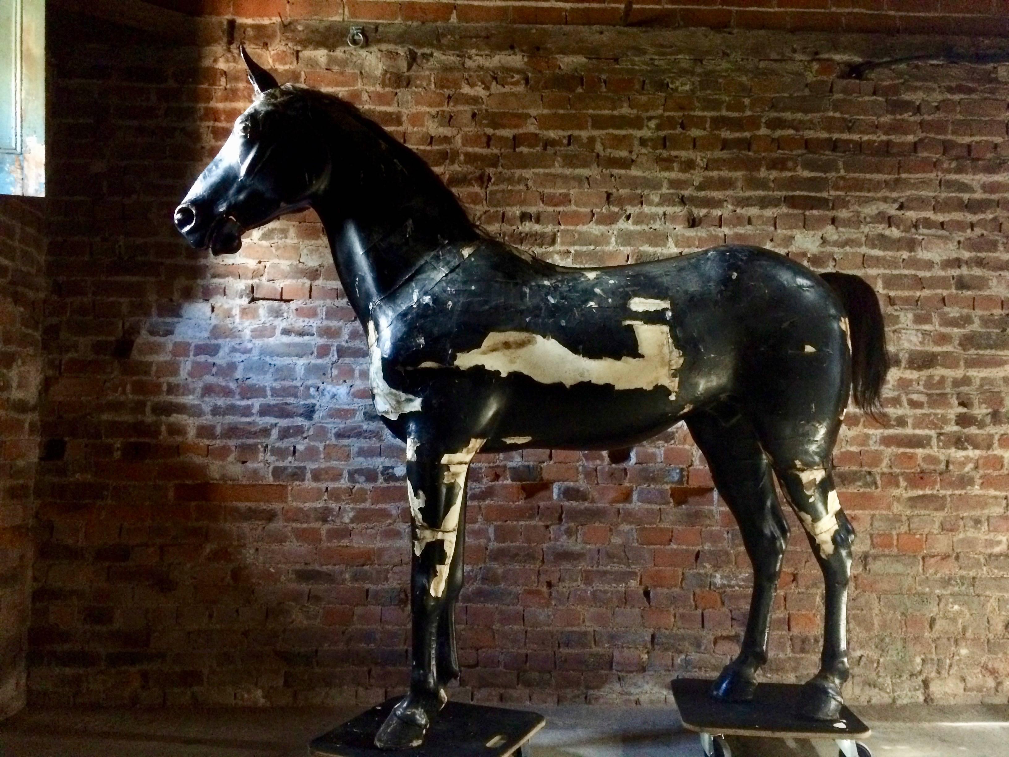 Majestueux étalage de magasin de chevaux grandeur nature équestre 19ème siècle très grand 3