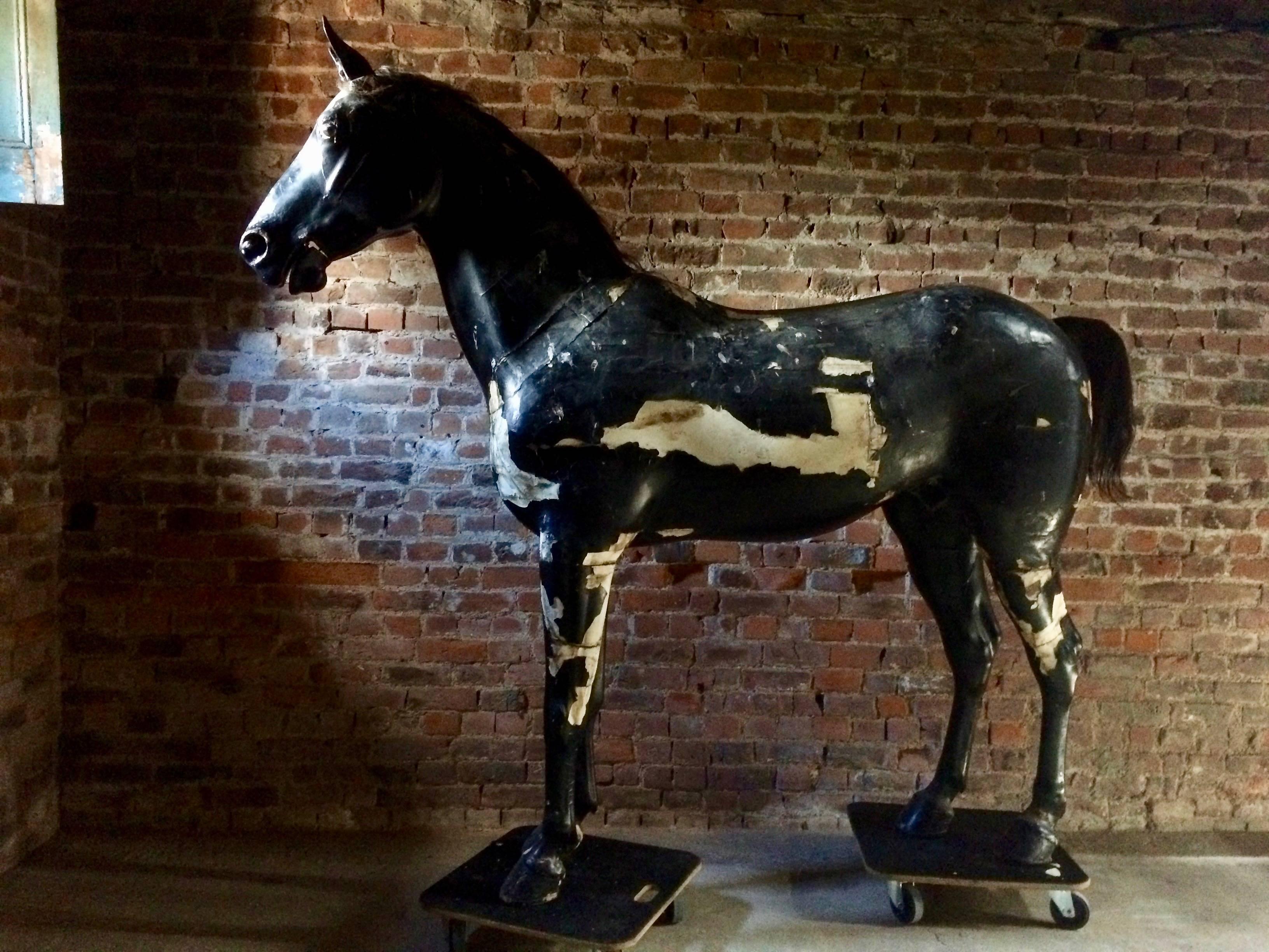 Magnifique et très rare cheval d'entraînement ou d'exposition grandeur nature de l'époque victorienne du 19e siècle:: vers 1870. Le cheval est en bois massif avec une finition en plâtre appliquée puis peinte:: des yeux en verre avec une queue et une