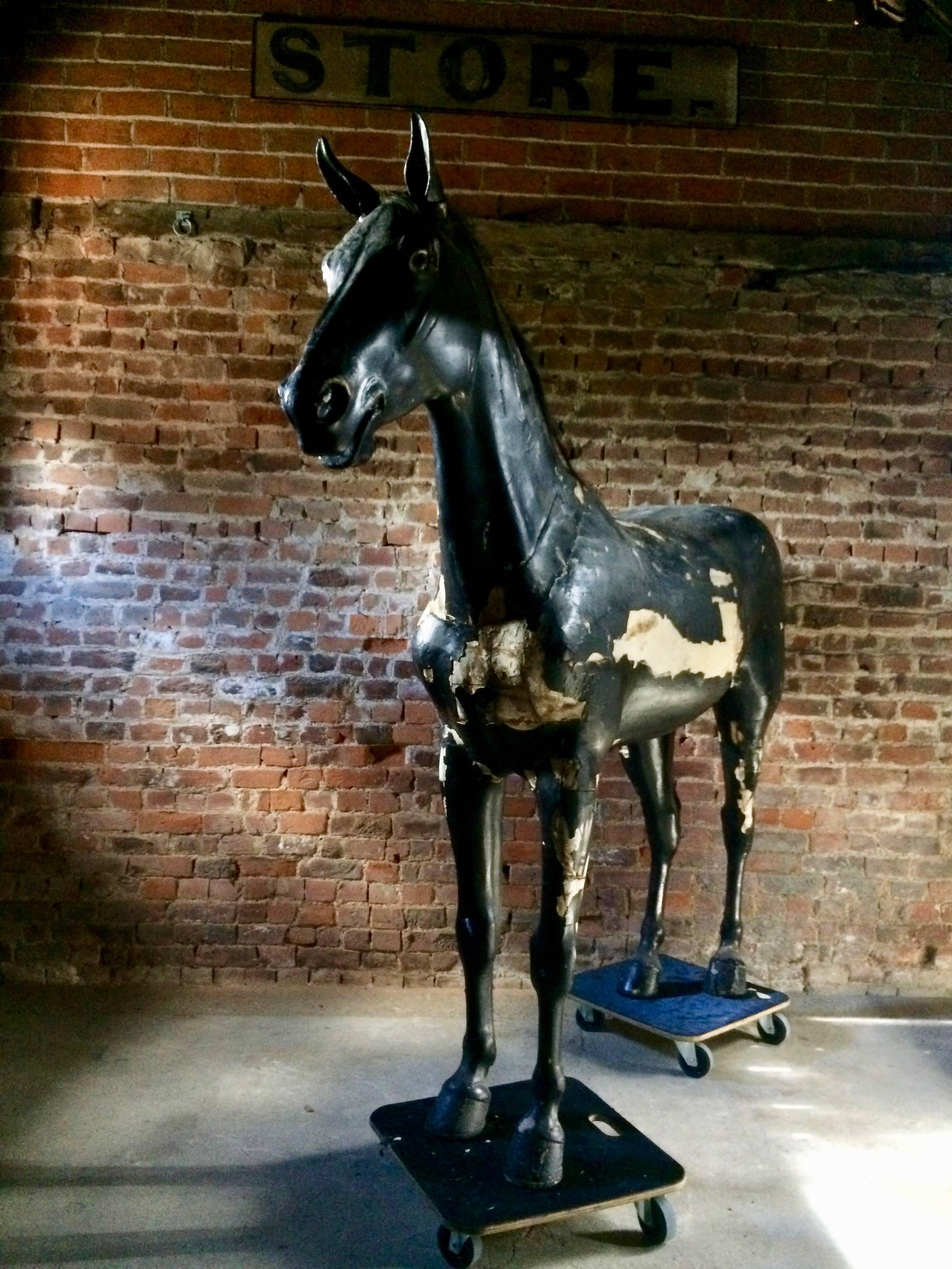 Plâtre Majestueux étalage de magasin de chevaux grandeur nature équestre 19ème siècle très grand