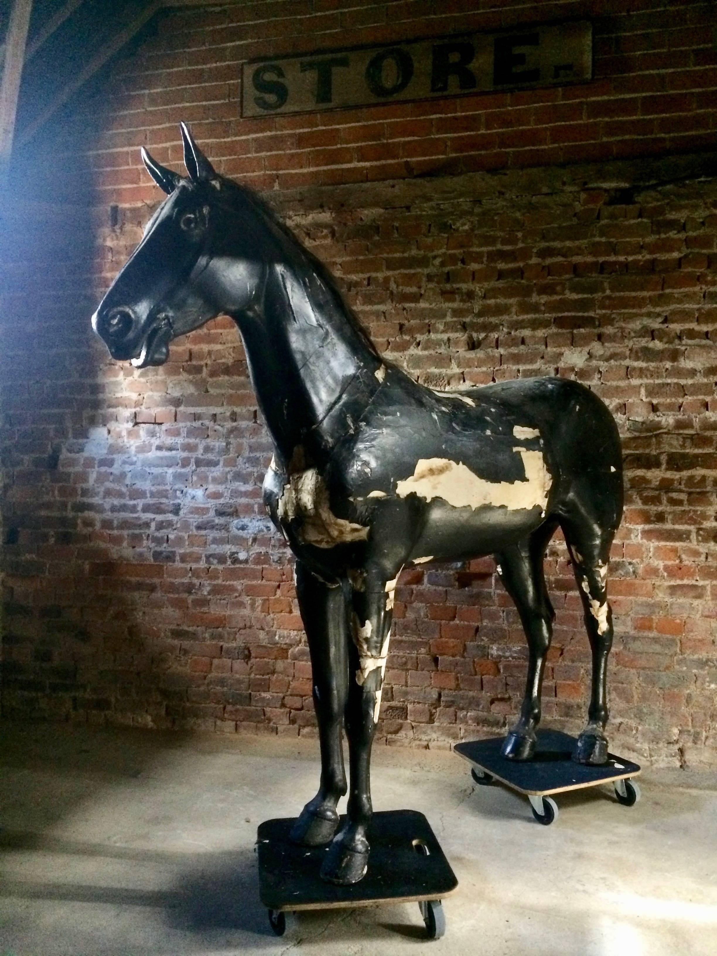 Majestueux étalage de magasin de chevaux grandeur nature équestre 19ème siècle très grand 1