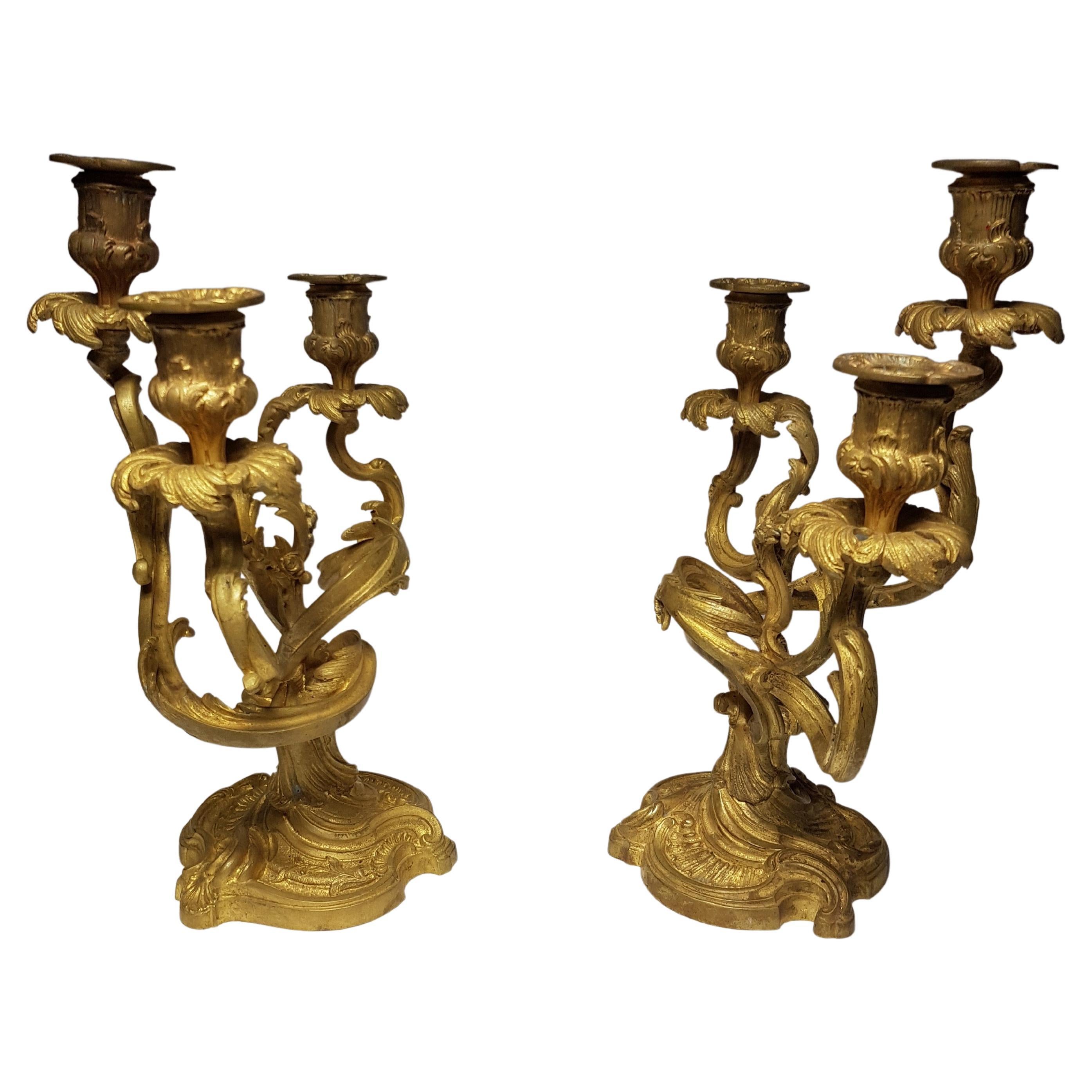 Majestic Brass Candlestick Pair, circa 1870 In Good Condition For Sale In Berlin, DE