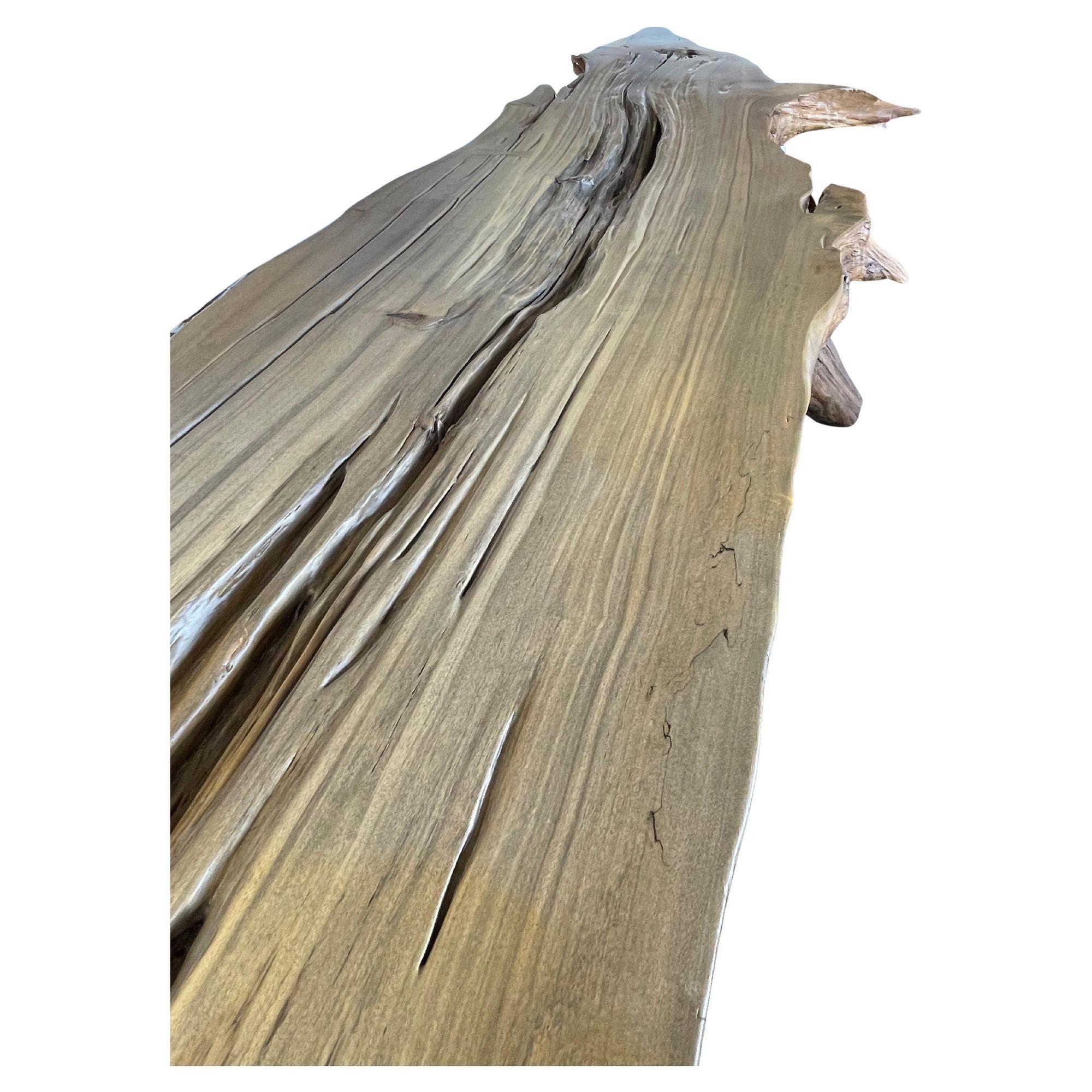 Majestic Cypress Tree Log Console with Sculptural Steel Base. Labeled PMC #35. In Excellent Condition For Sale In Los Angeles, CA