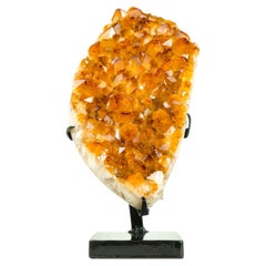 Majestic Orange Citrine Cluster with Rich Orange Citrine Druzy on Stand
