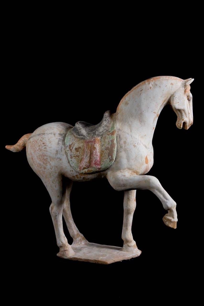 Magnificent prancing horse in orange terracotta with traces of polychrome paint. Springing its right leg with a lively position and an expressive look. With a finely decorated saddle. This piece is provided with a Thermoluminescence Test from Ralph