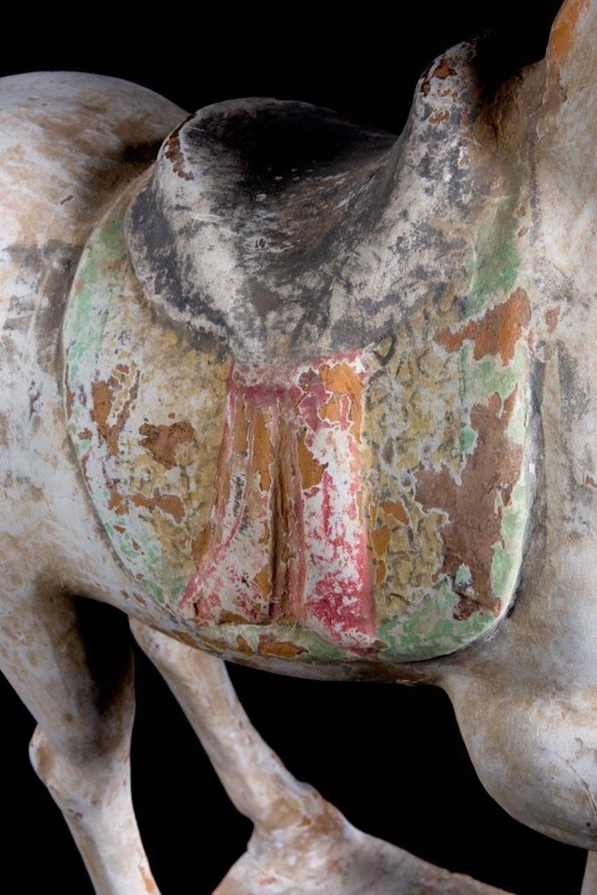 Majestätisches tänzelndes Pferd, Tang Dynasty, China '618-907 AD', TL Test von Kotalla (Chinesisch) im Angebot