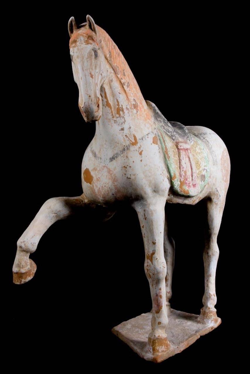 Terracotta Majestic Prancing Horse, Tang Dynasty, China '618-907 AD', TL Test by Kotalla For Sale