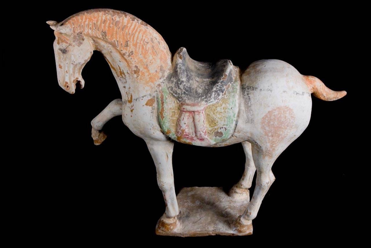 Majestätisches tänzelndes Pferd, Tang Dynasty, China '618-907 AD', TL Test von Kotalla im Angebot 1