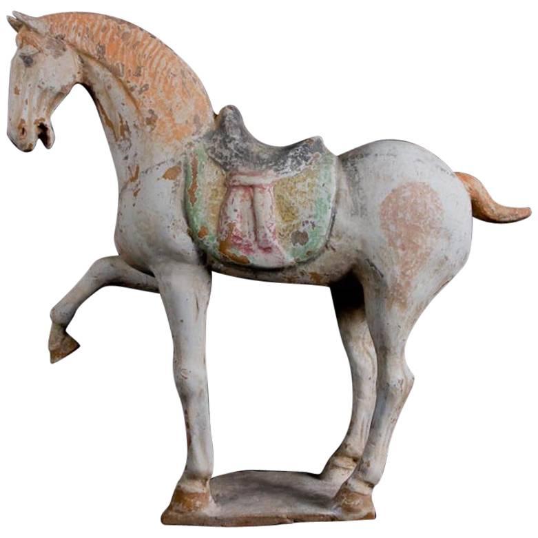 Majestic Prancing Horse, Tang Dynasty, China '618-907 AD', TL Test by Kotalla