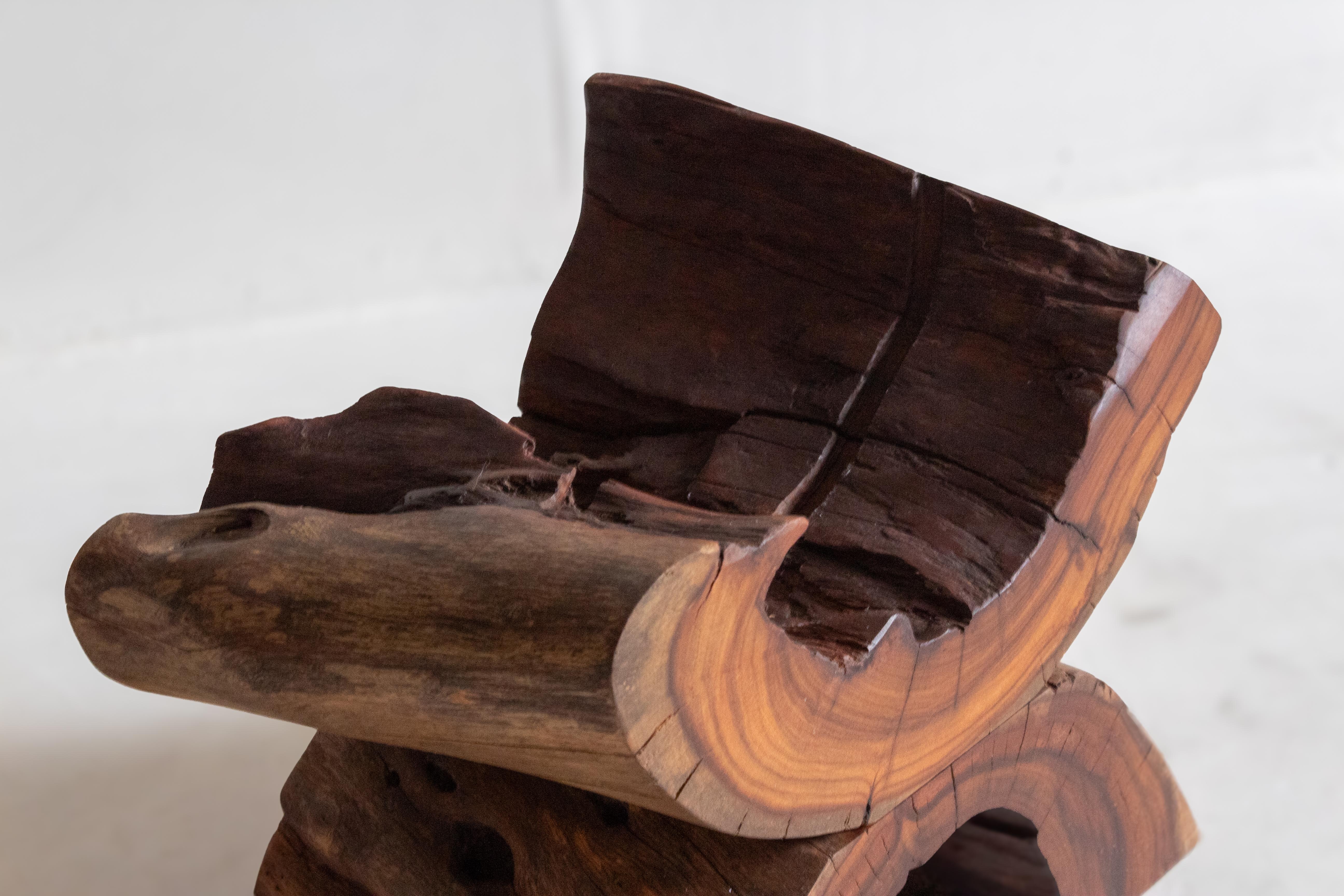 Esta escultura única, meticulosamente tallada a mano en madera de Jabín recuperada de la selva maya, es un impresionante testimonio tanto de la naturaleza como de la artesanía. La madera de jabín es célebre por sus tonos cálidos y terrosos y sus
