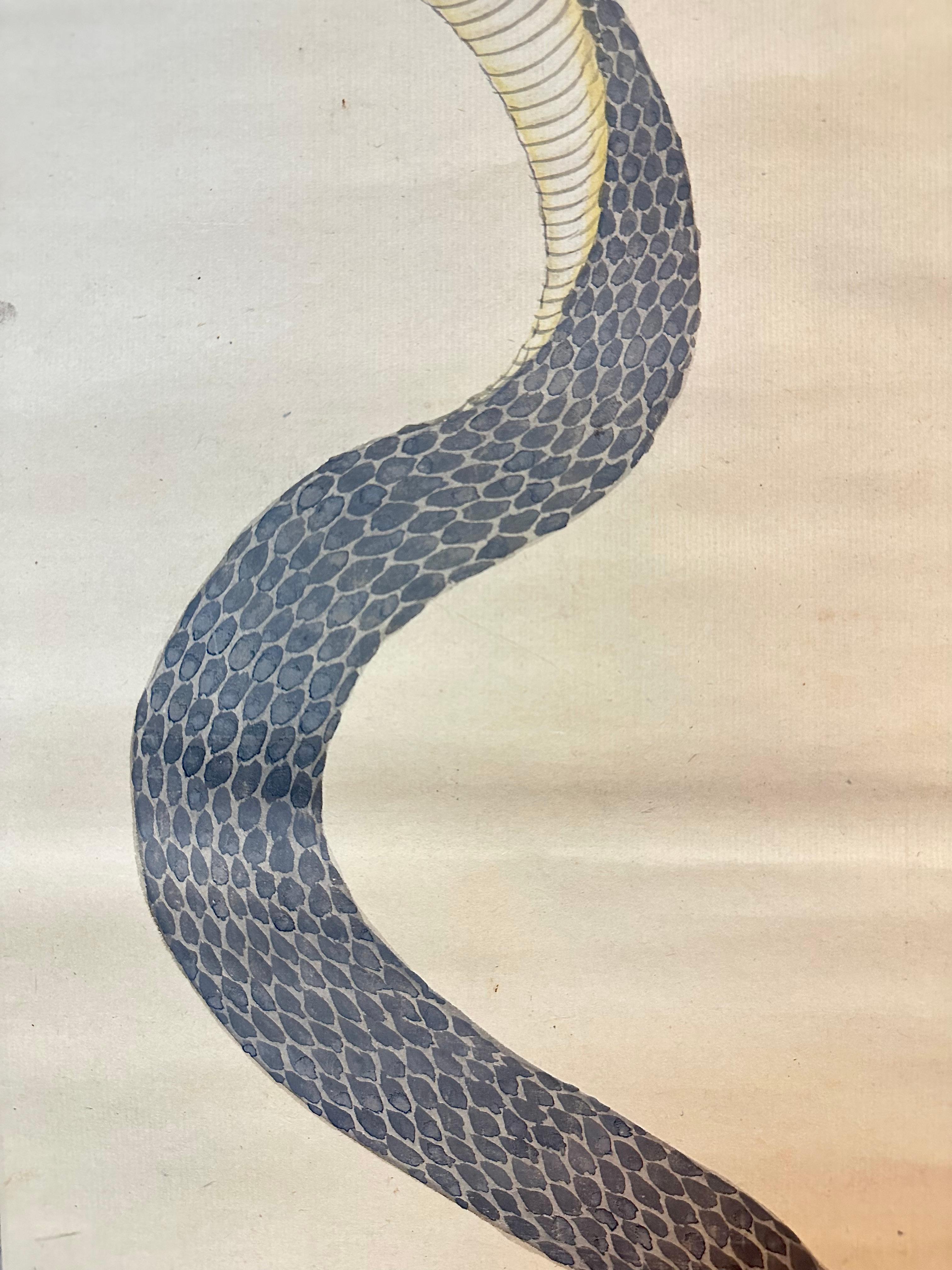 19th Century Majestic Serpent: Traditional Japanese Snake Scroll Painting