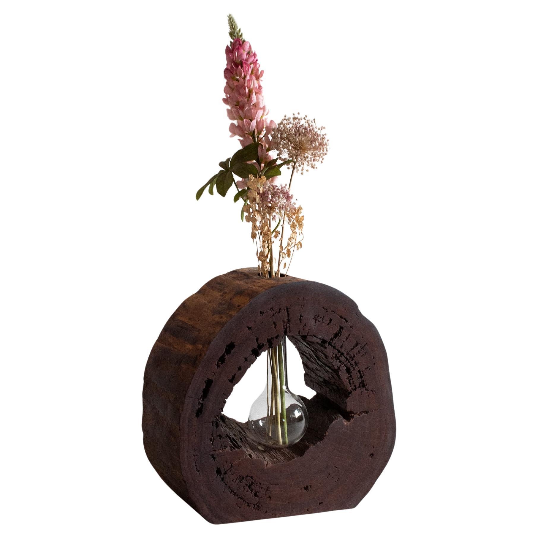 Majestueux vase en bois de granadillo mexicain récupéré dans la jungle mayan