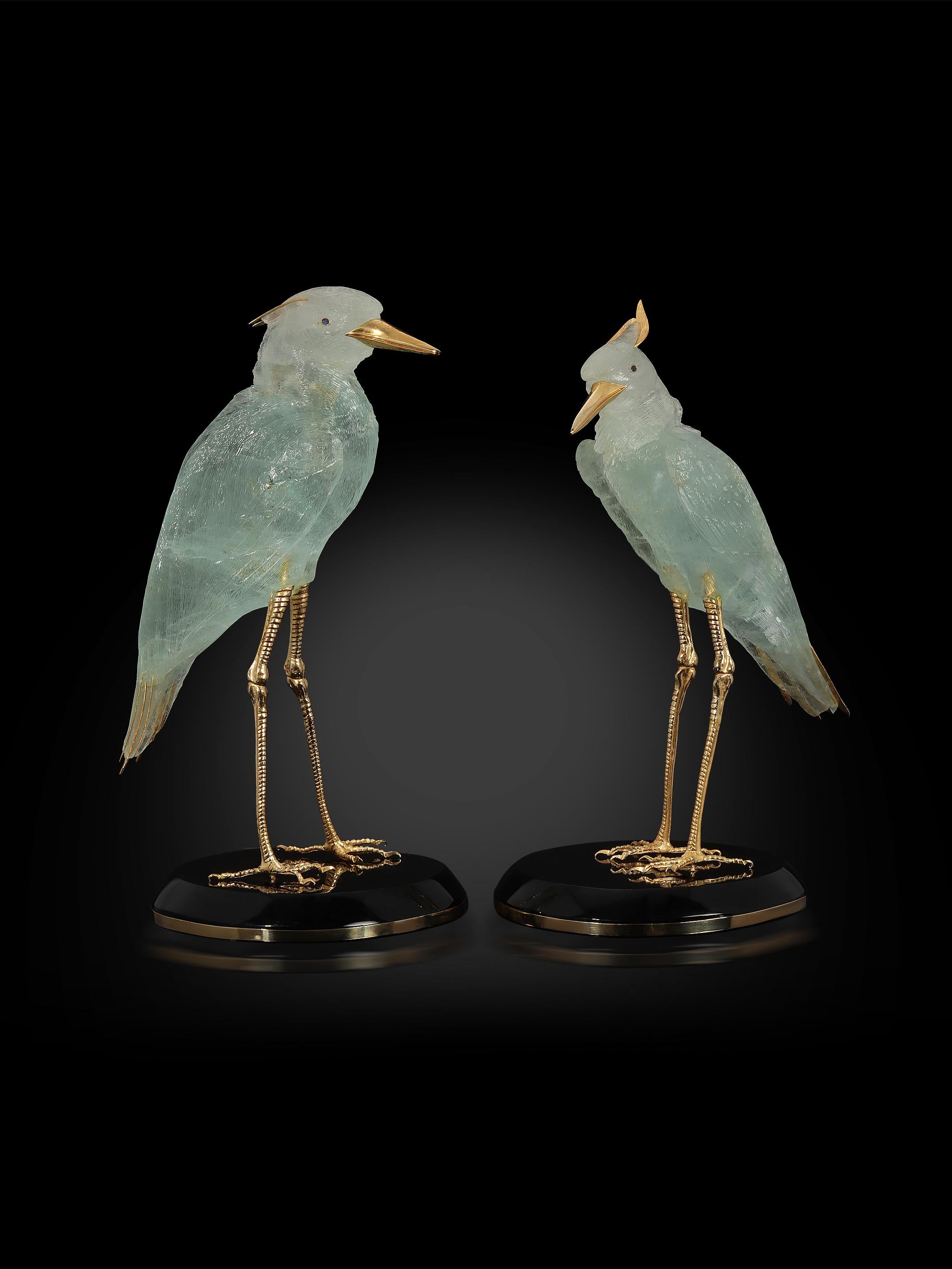 Femenino o masculino Majestad Pareja de Garzas Aguamarina en venta