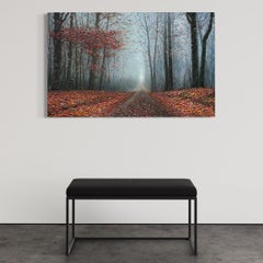 "Autunno a Toronto II", paesaggio fotorealista strutturato, alberi e foglie cadute