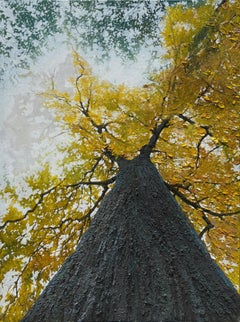 "Toronto", Photorealist Forest Painting, Textured Oil Impasto, Large Yellow Tree