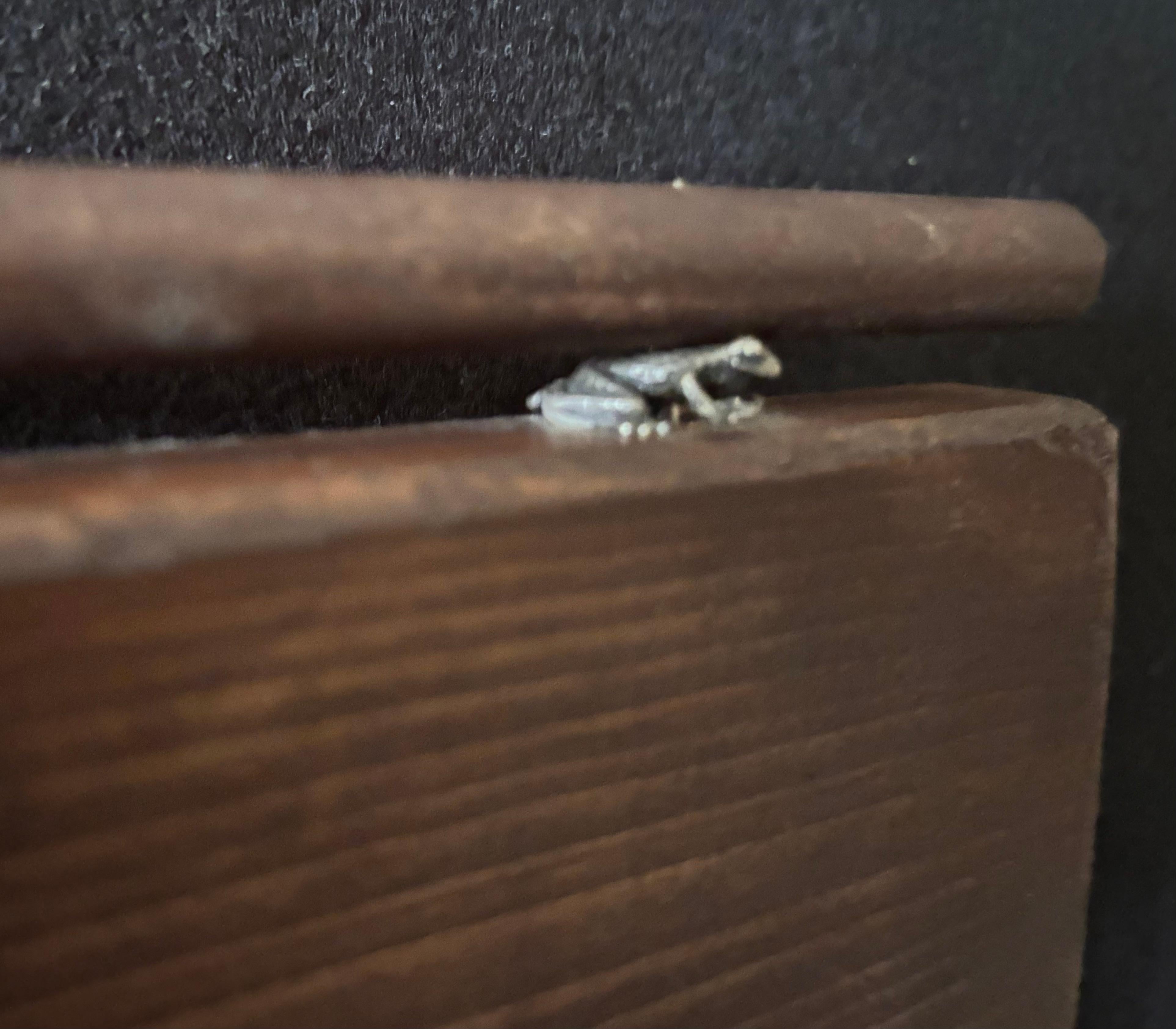 Artefactos de Realidades Varias -Bandeja 4 Objetos Encontrados sobre Madera en venta 3