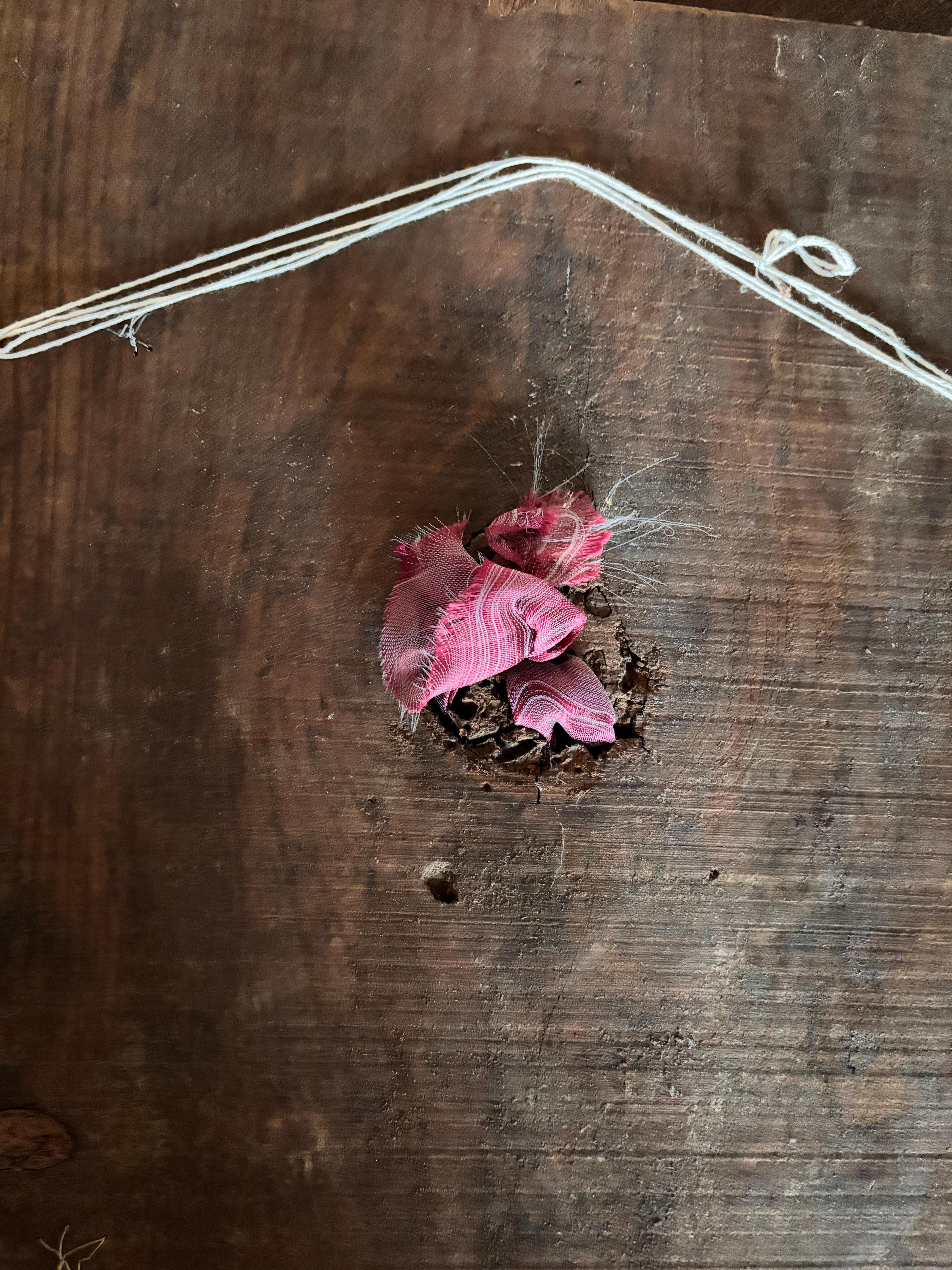 Saatgut Acrylfarbe mit Band, Silberperlen auf Holz im Angebot 11