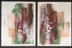 Diptych San Miguel Cobblestone, acrylic paint, transfers, graphite rubbings.