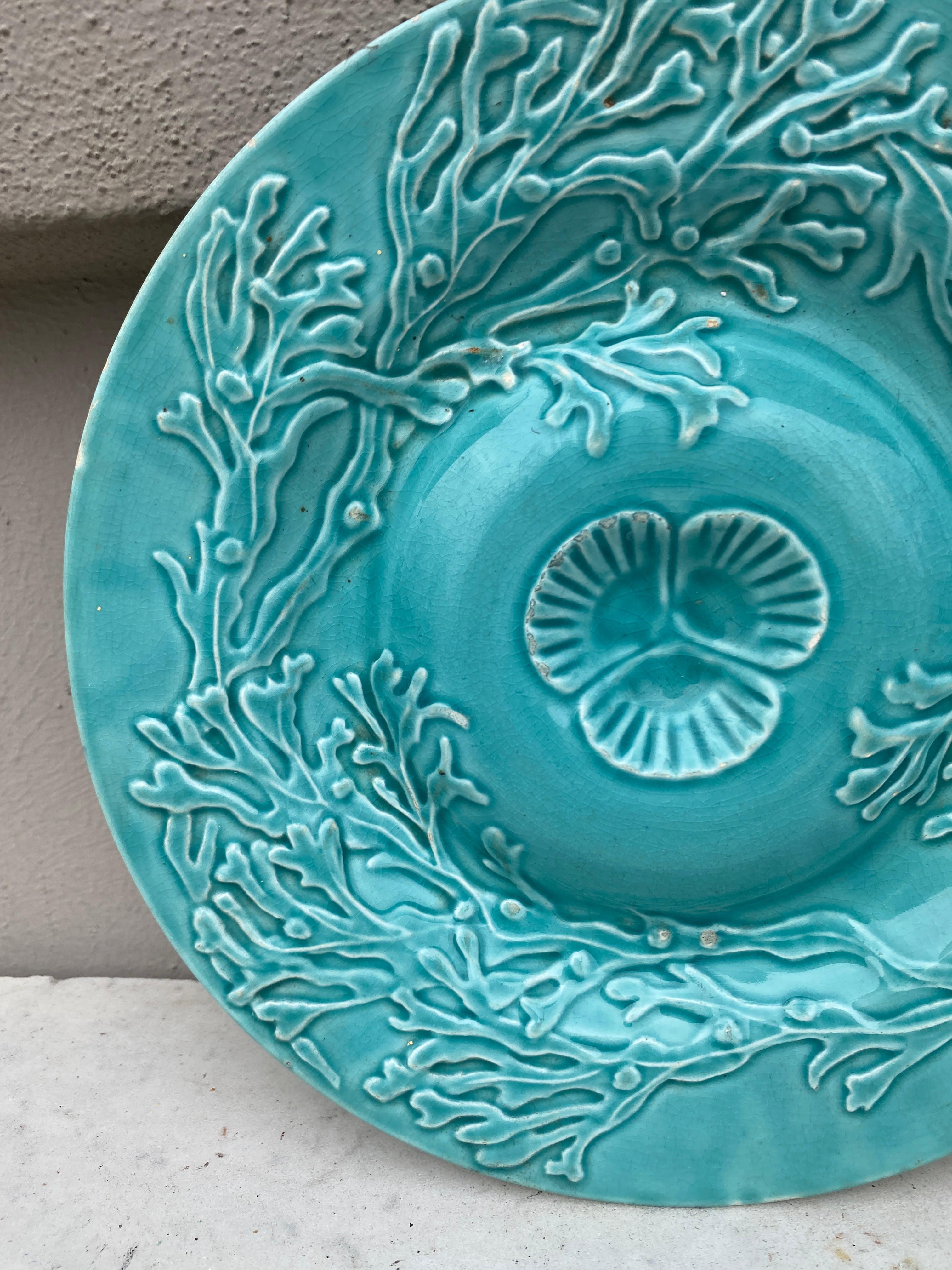 Majolica aqua turquoise shell plate with seaweeds signed Gien, circa 1890.
Small wears.
