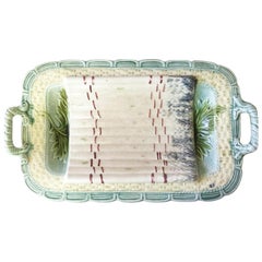 Majolica Asparagus Platter Salins, circa 1890