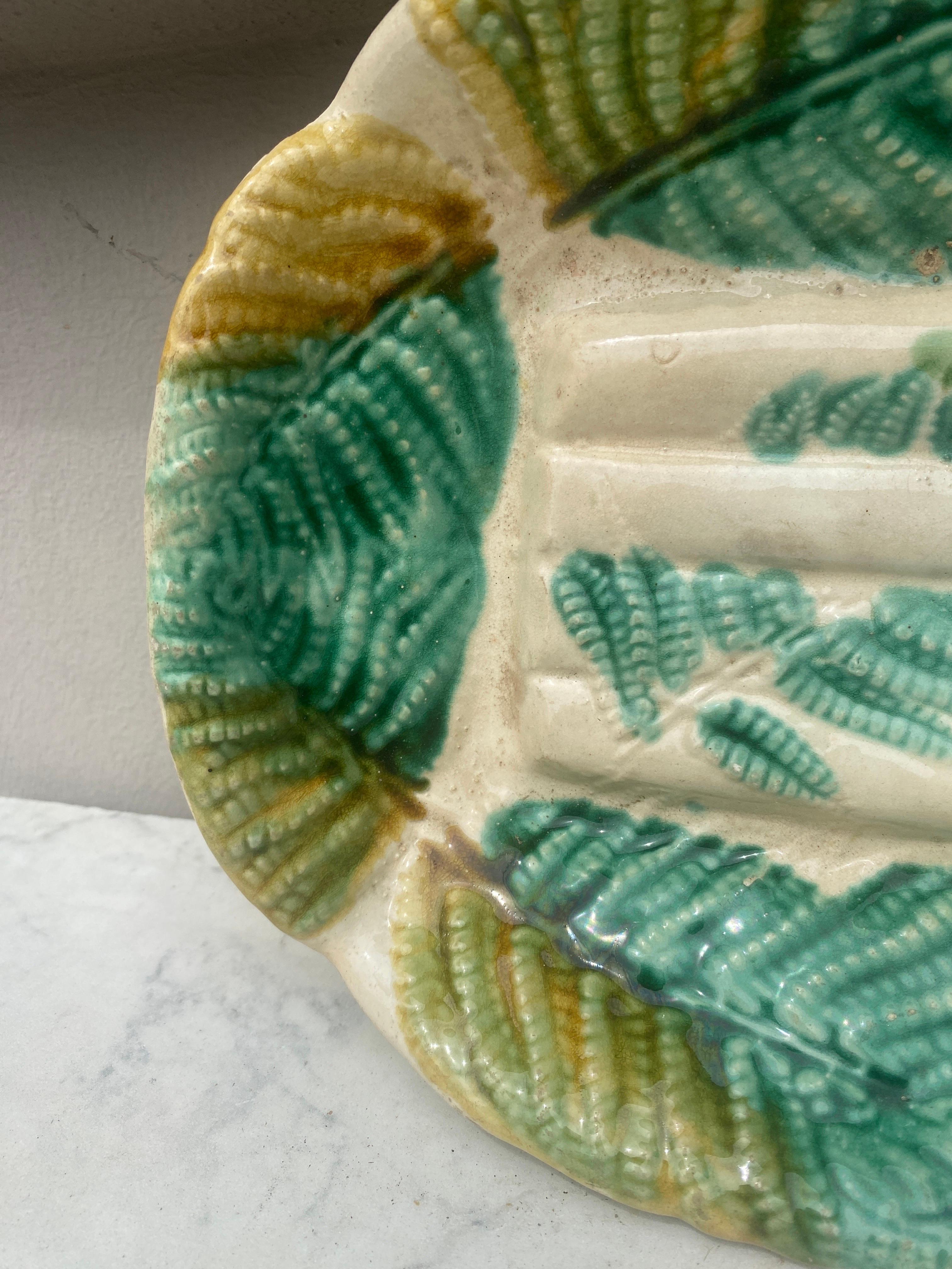 French Majolica asparagus platter Salins, circa 1880.
Decorated with ferns.
