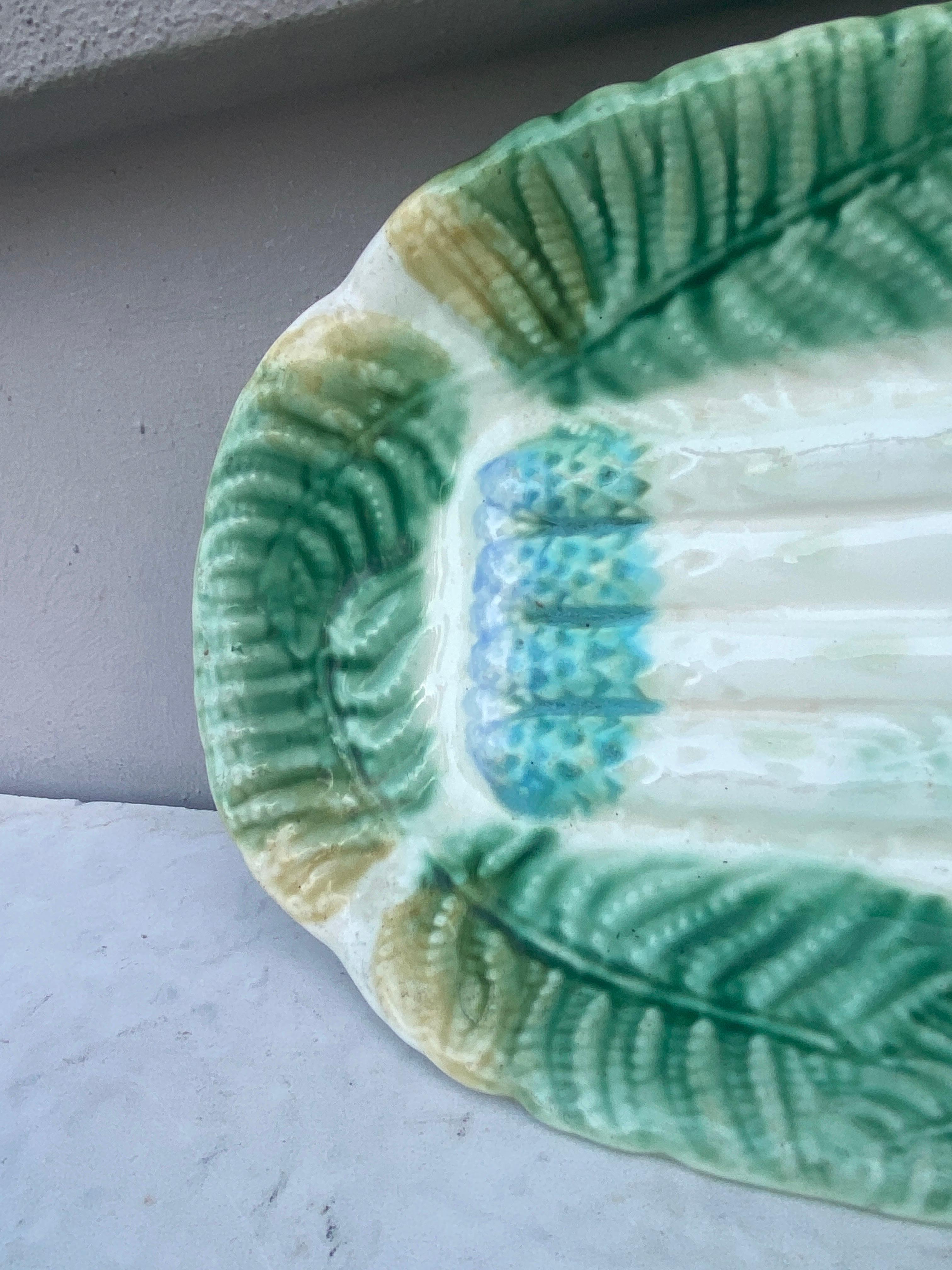 French Majolica Asparagus Platter Salins with Ferns, circa 1880 For Sale