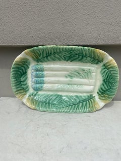 Majolica Asparagus Platter Salins with Ferns, circa 1880