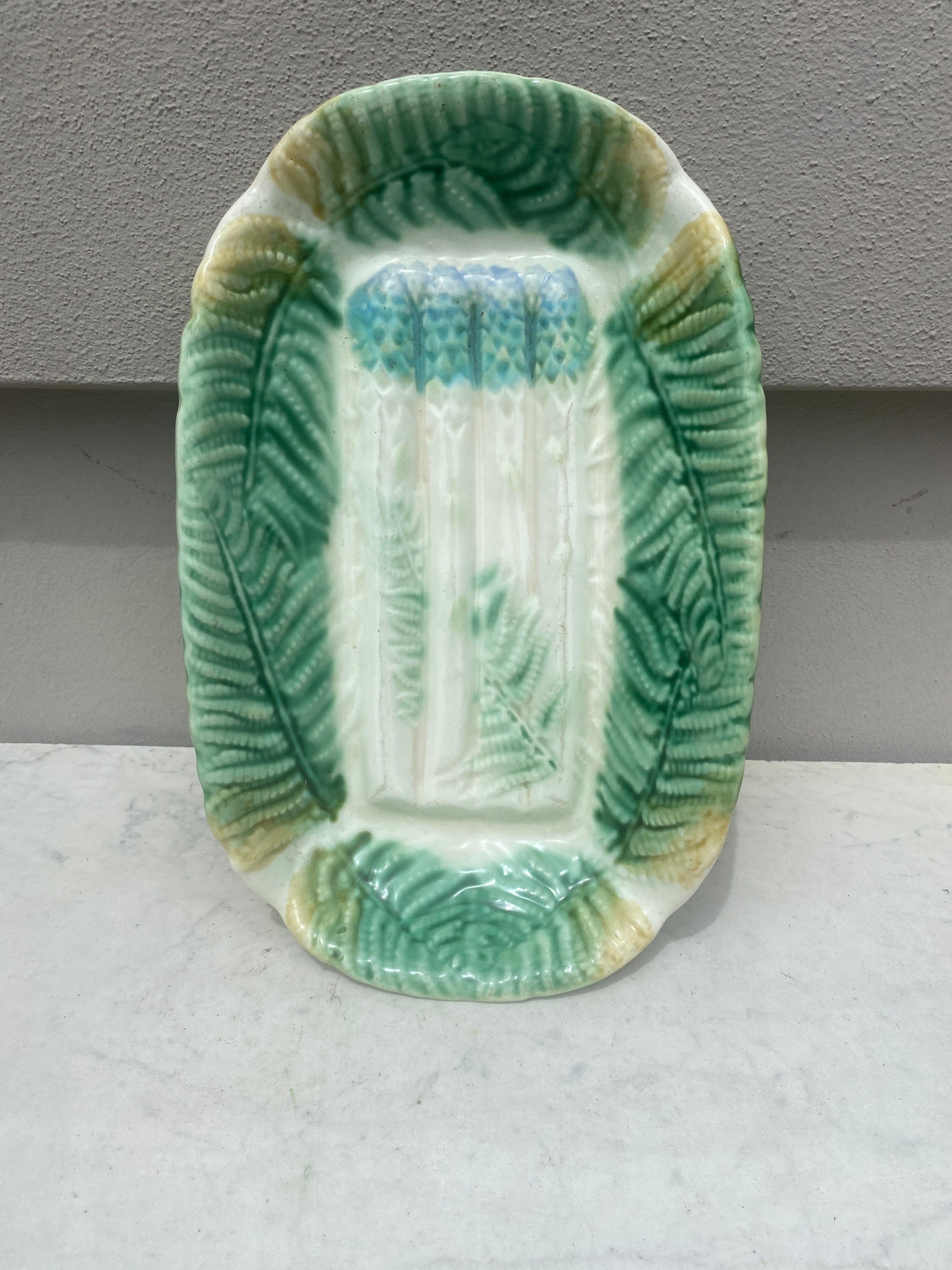 Country Majolica Asparagus Platter Salins with Ferns, circa 1880 For Sale