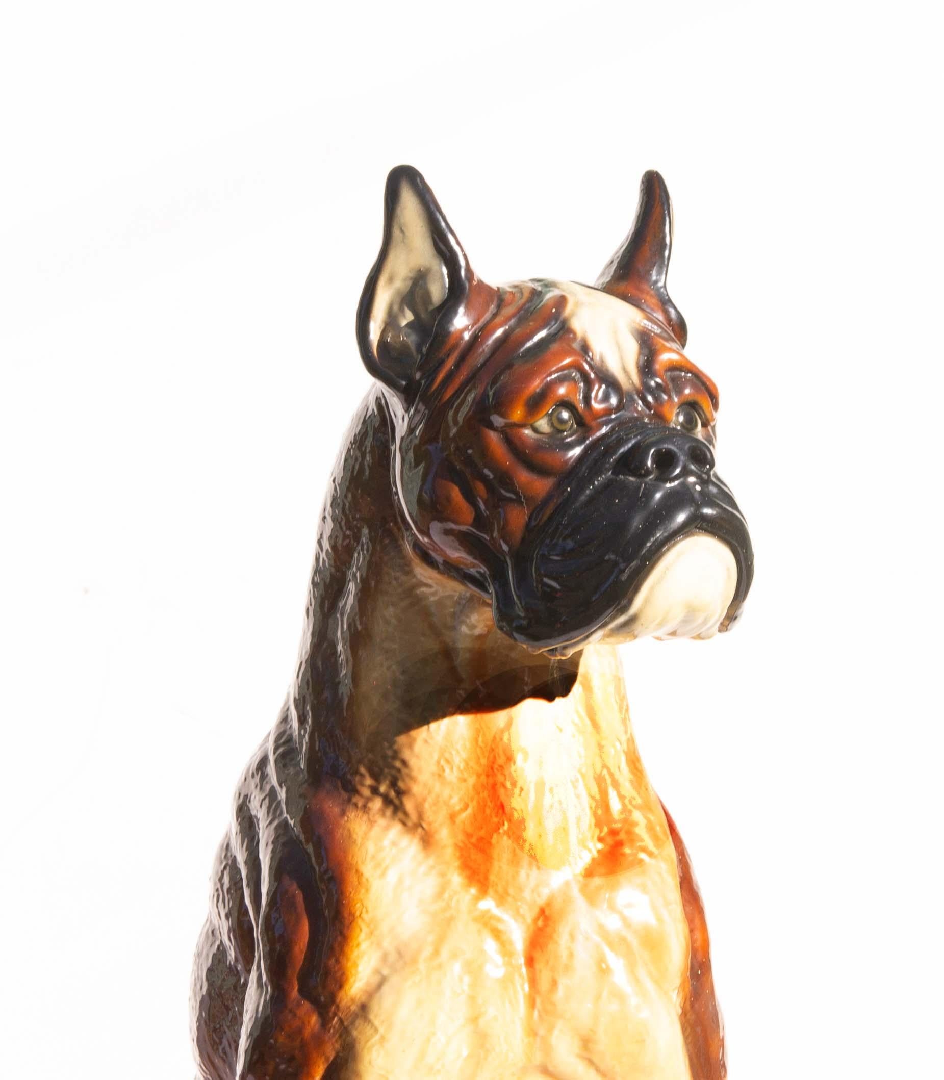 Majolica boxer dog. Life size.