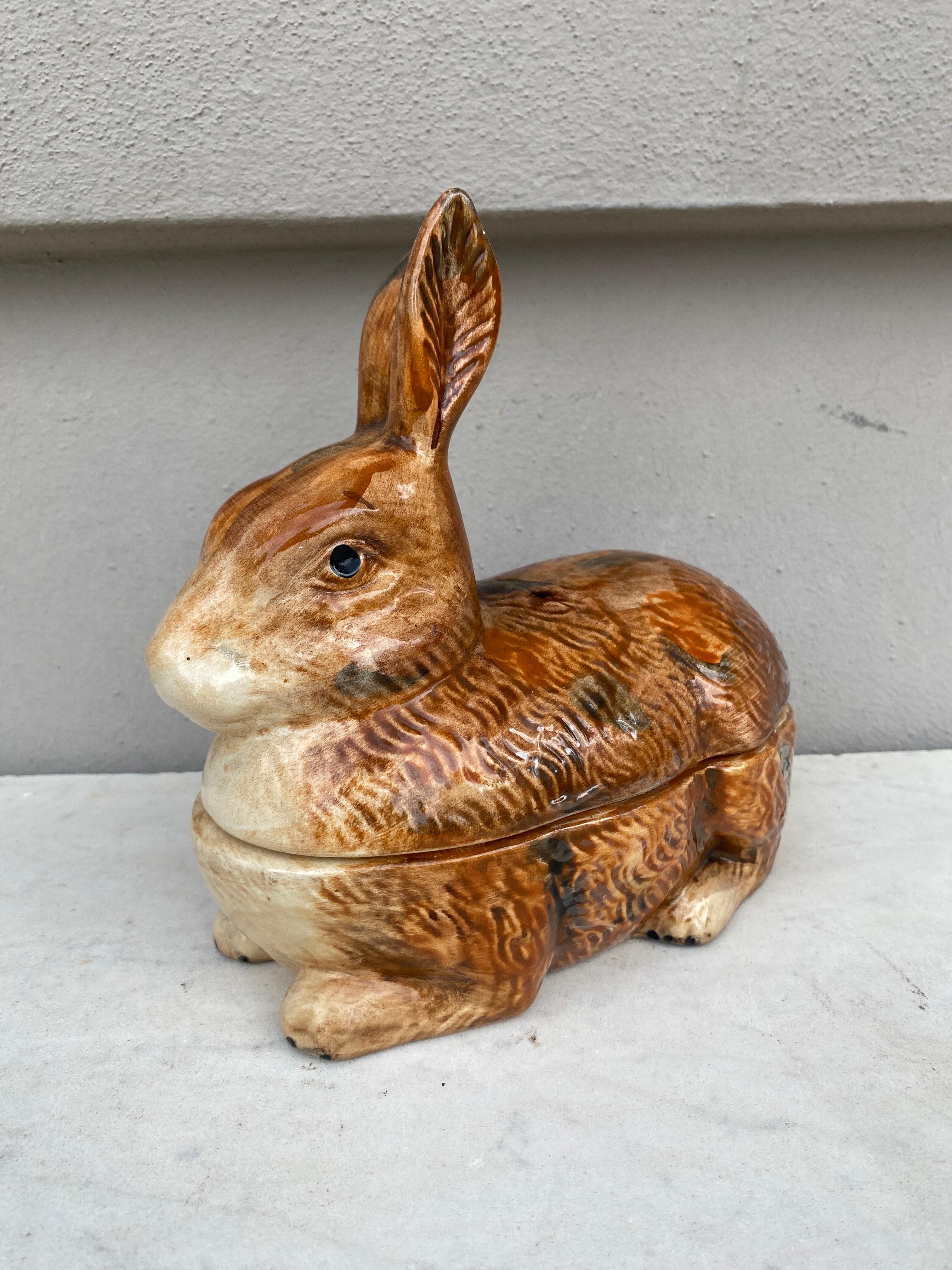 rubati rabbit