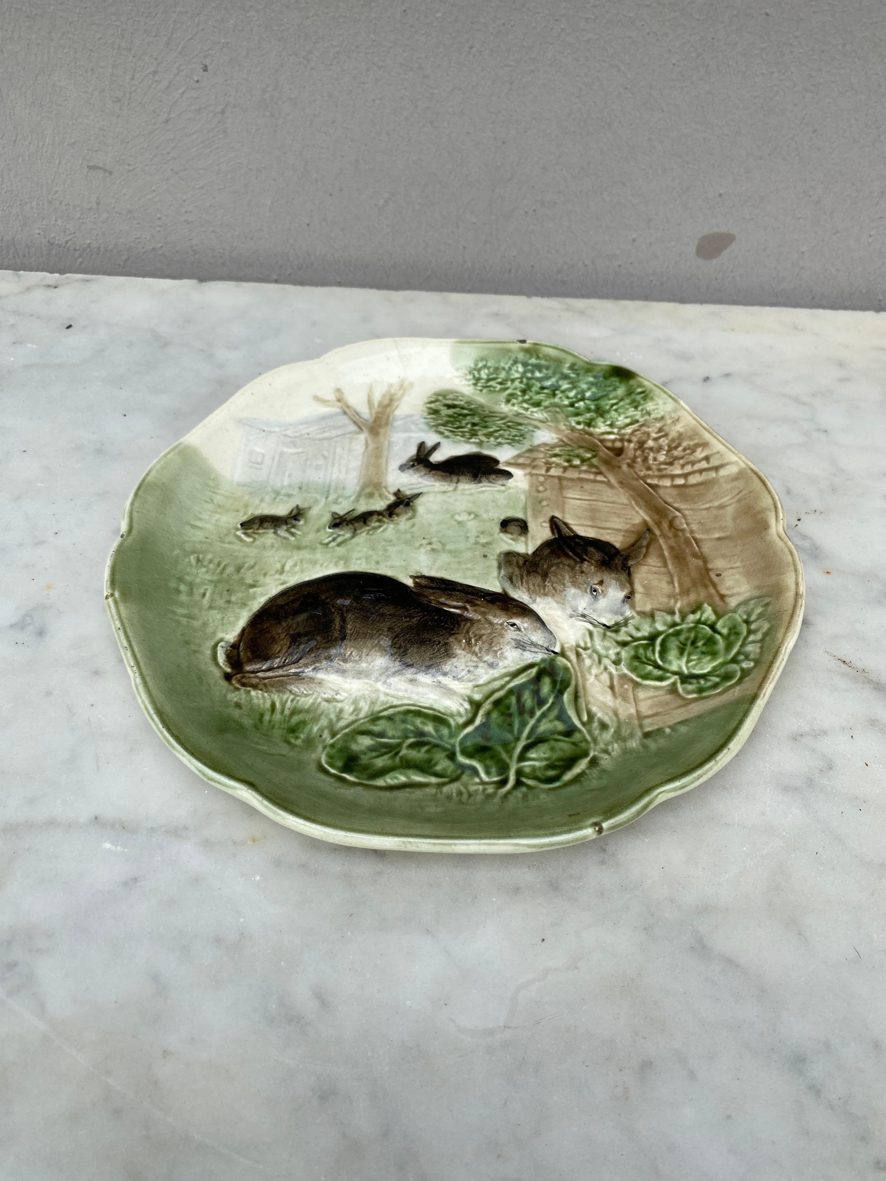 plates with rabbits on them