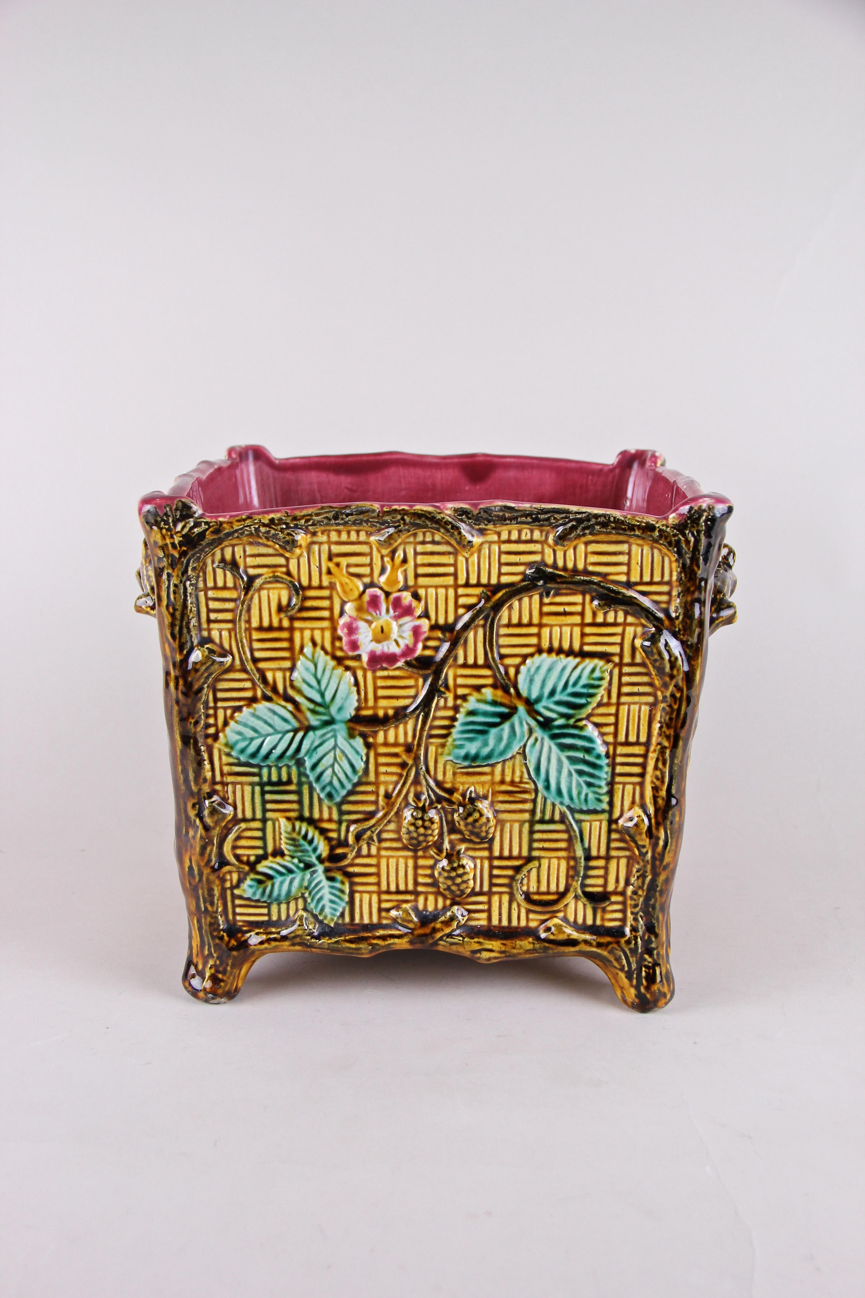 Unusual Majolica cachepot or planter out of France from the beginning of the 20th. This exceptional planter was made out of fine Majolica in a very unique style: namely in the design of a woven basket. The quadratic shaped cachepot is framed by tree