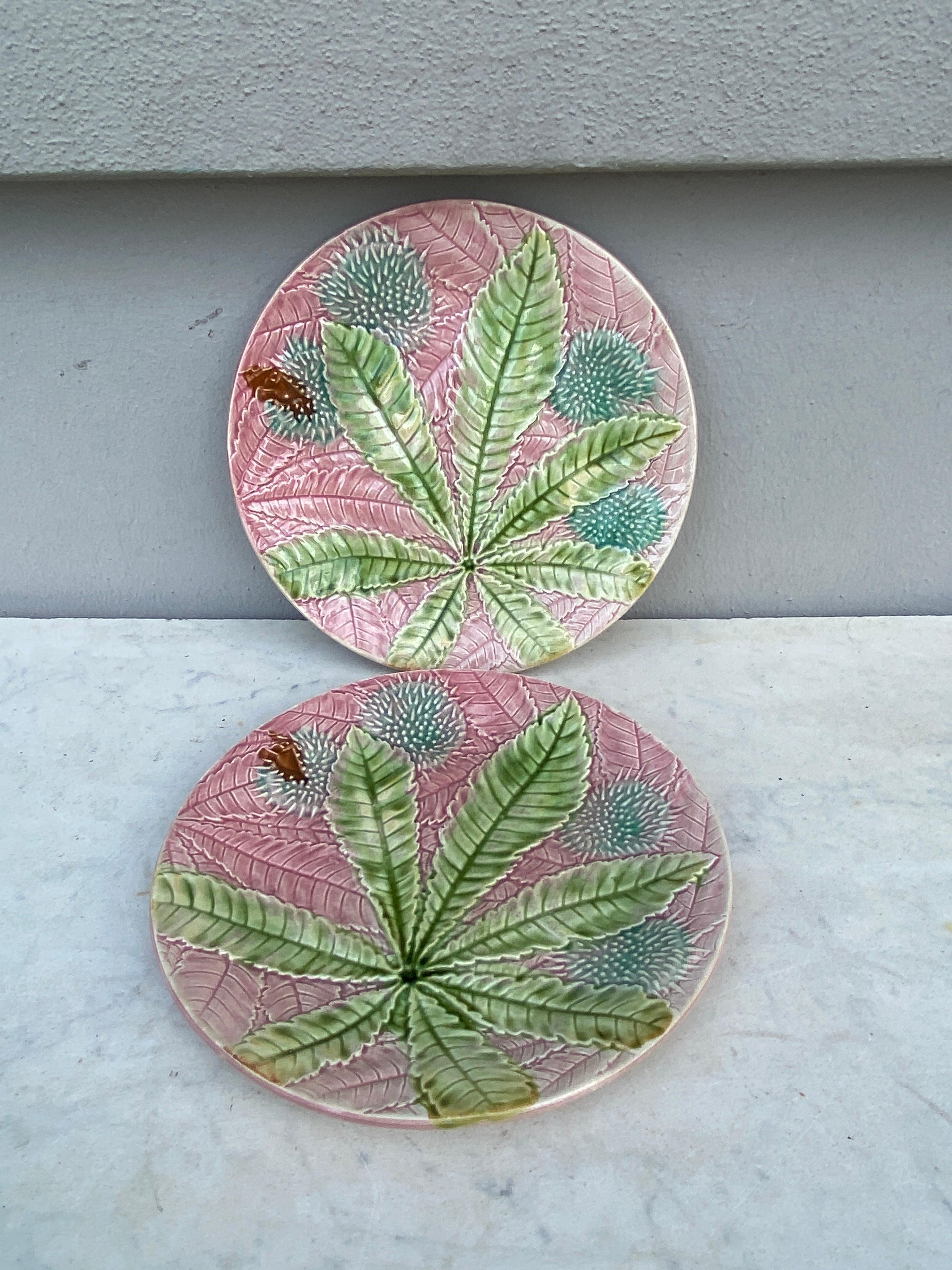 Majolica chestnut leaves plate Salins, circa 1880, on a pink background.