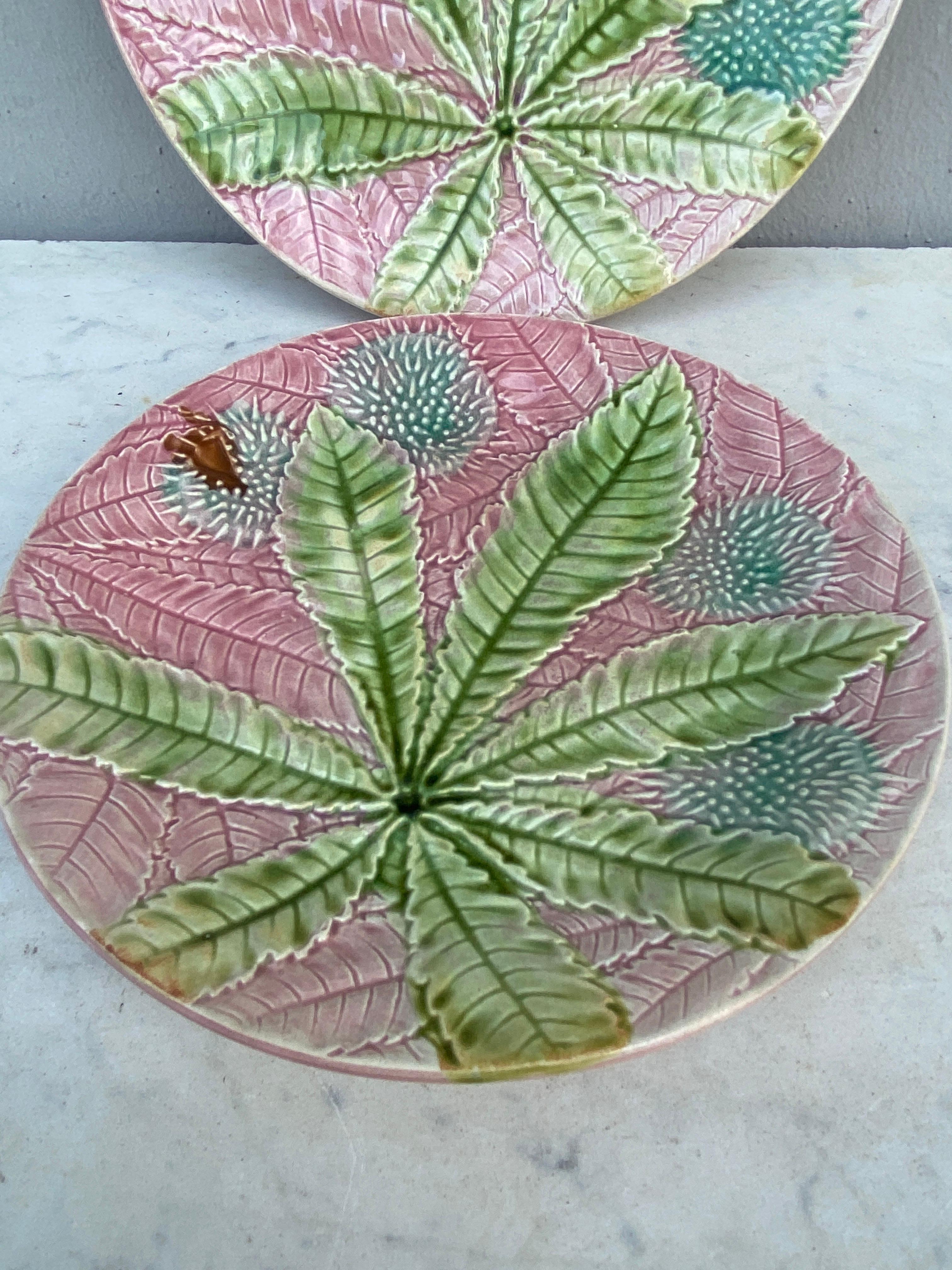 French Provincial Majolica Chestnut Leaves Plate Salins, circa 1880 For Sale