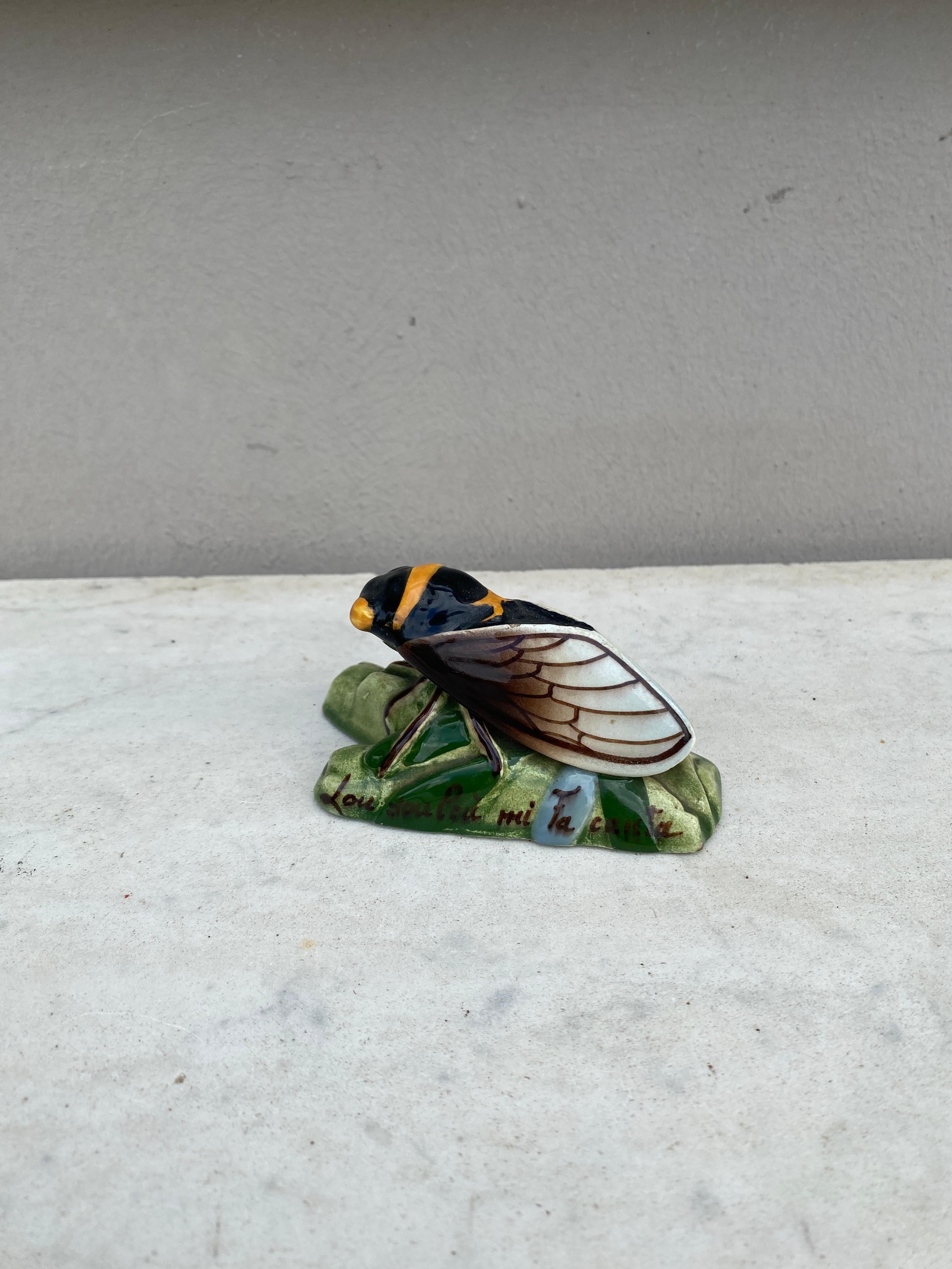 louis sicard cicada
