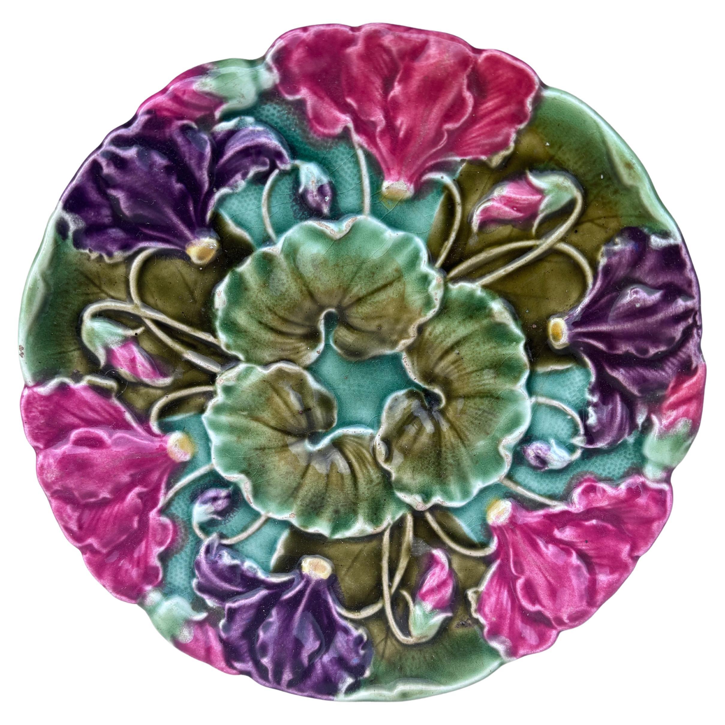Piatto in maiolica per ciclamini Schultz Cilli, circa 1900