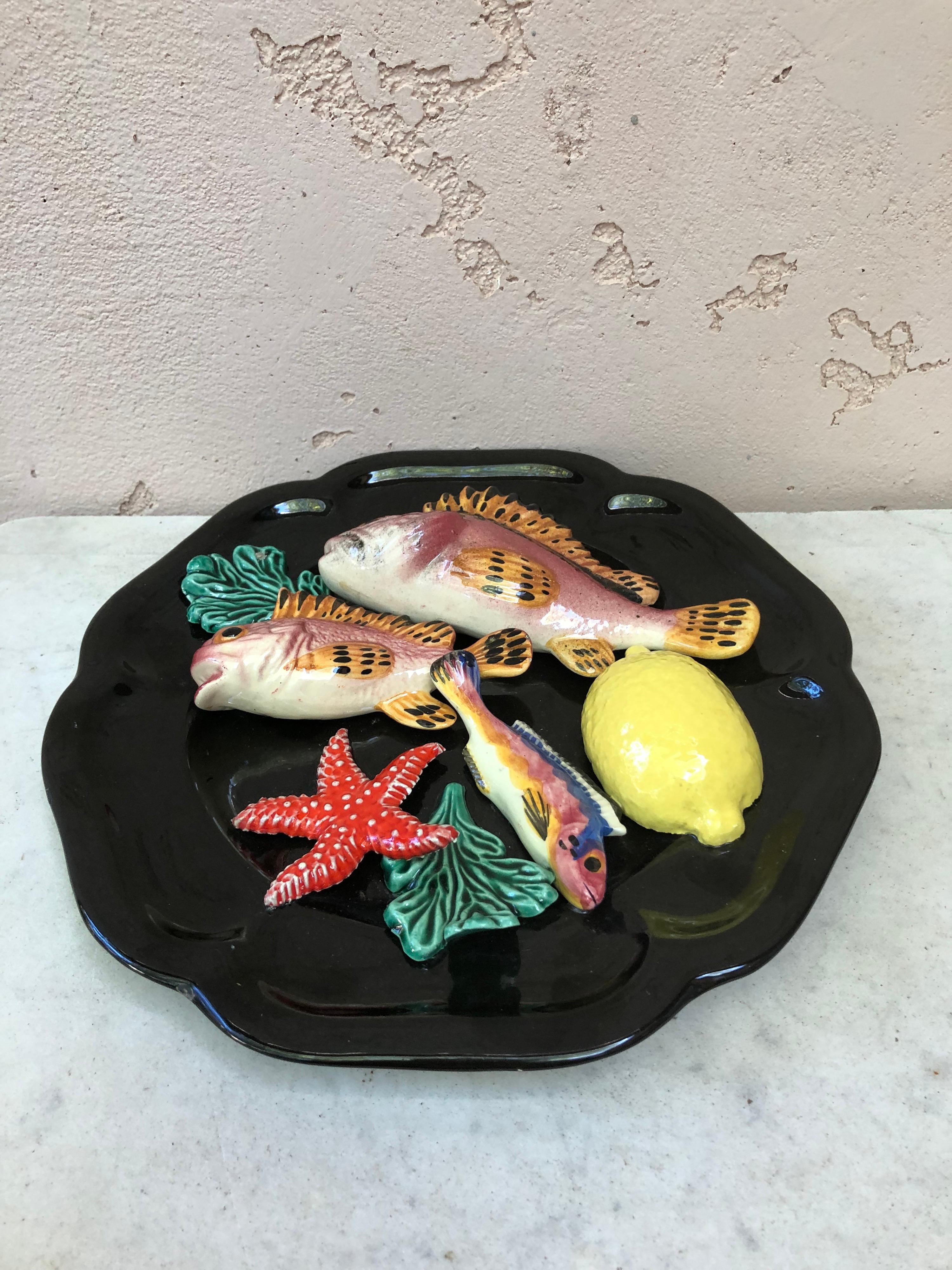 French Majolica Fish Sealife Platter Vallauris, circa 1950 For Sale