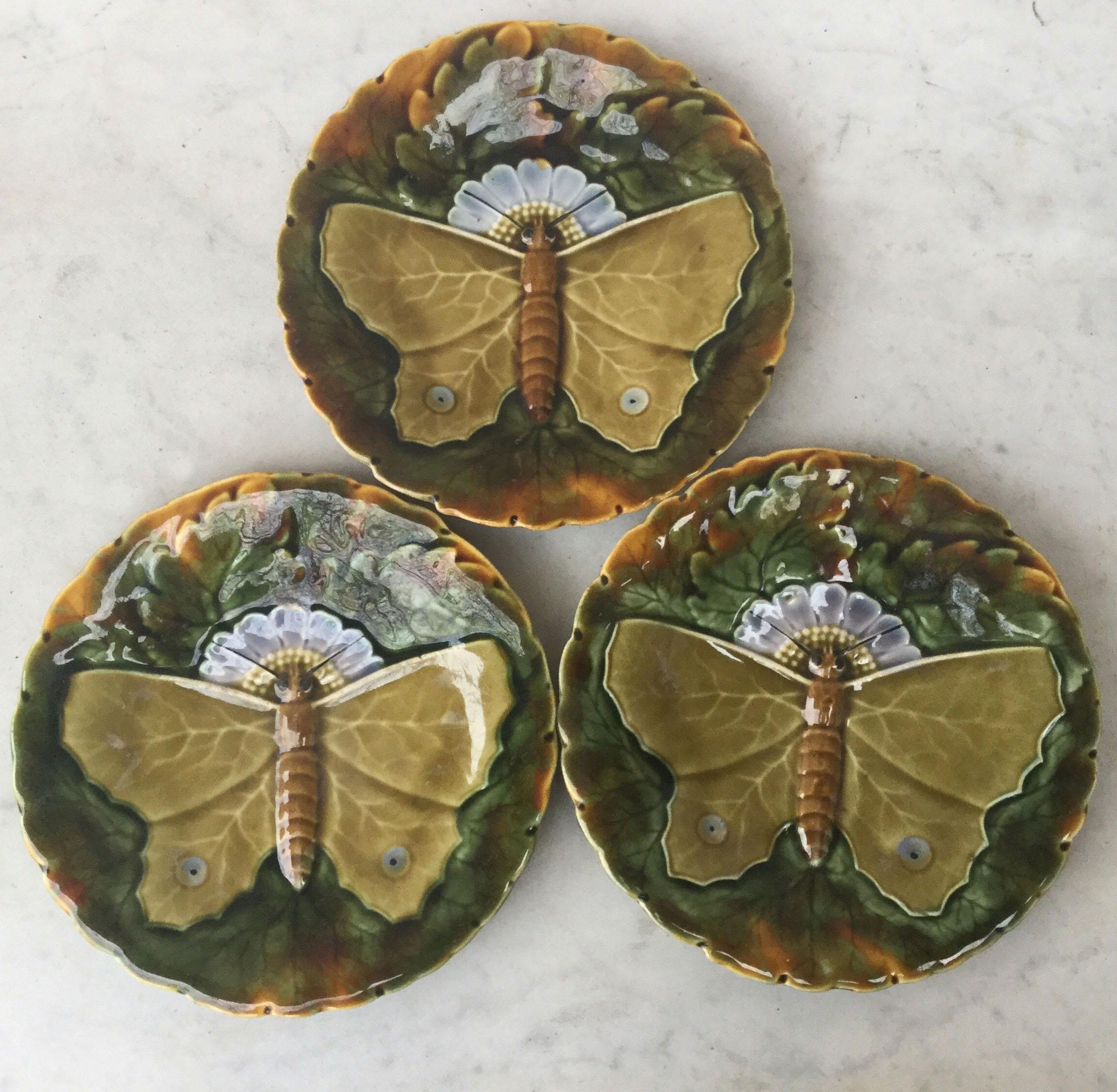 Céramique Assiette à fleurs et papillons Wasmuel Majolica, vers 1880