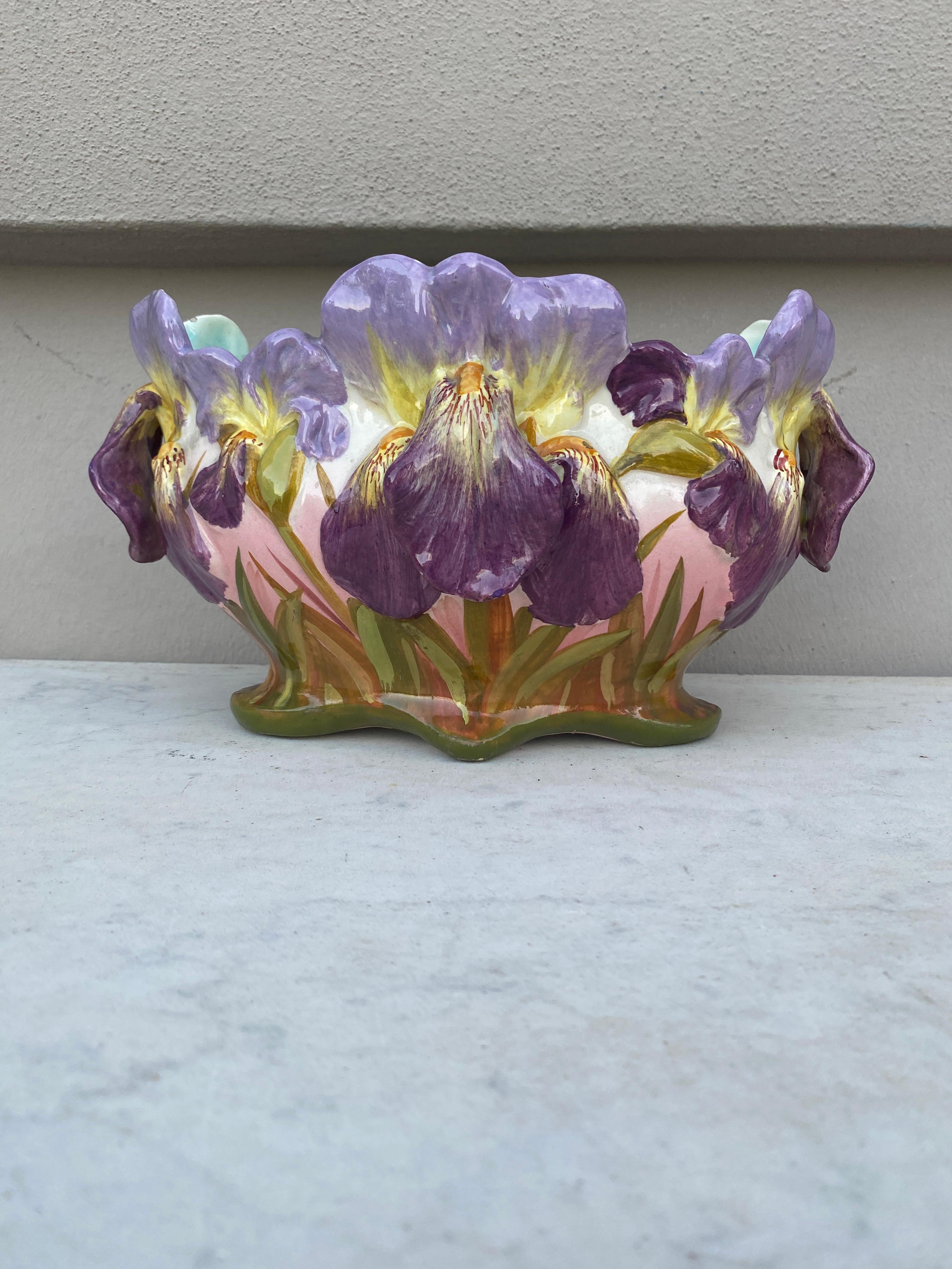 Kleine ovale Majolika-Iris-Jardiniere aus Frankreich, signiert Jerome Massier Fils, um 1900.
Die Familie Massier ist bekannt für die Qualität ihrer einzigartigen Emaillen und Gemälde. Sie produzierten eine unglaubliche Vielfalt an Blumen wie Iris,