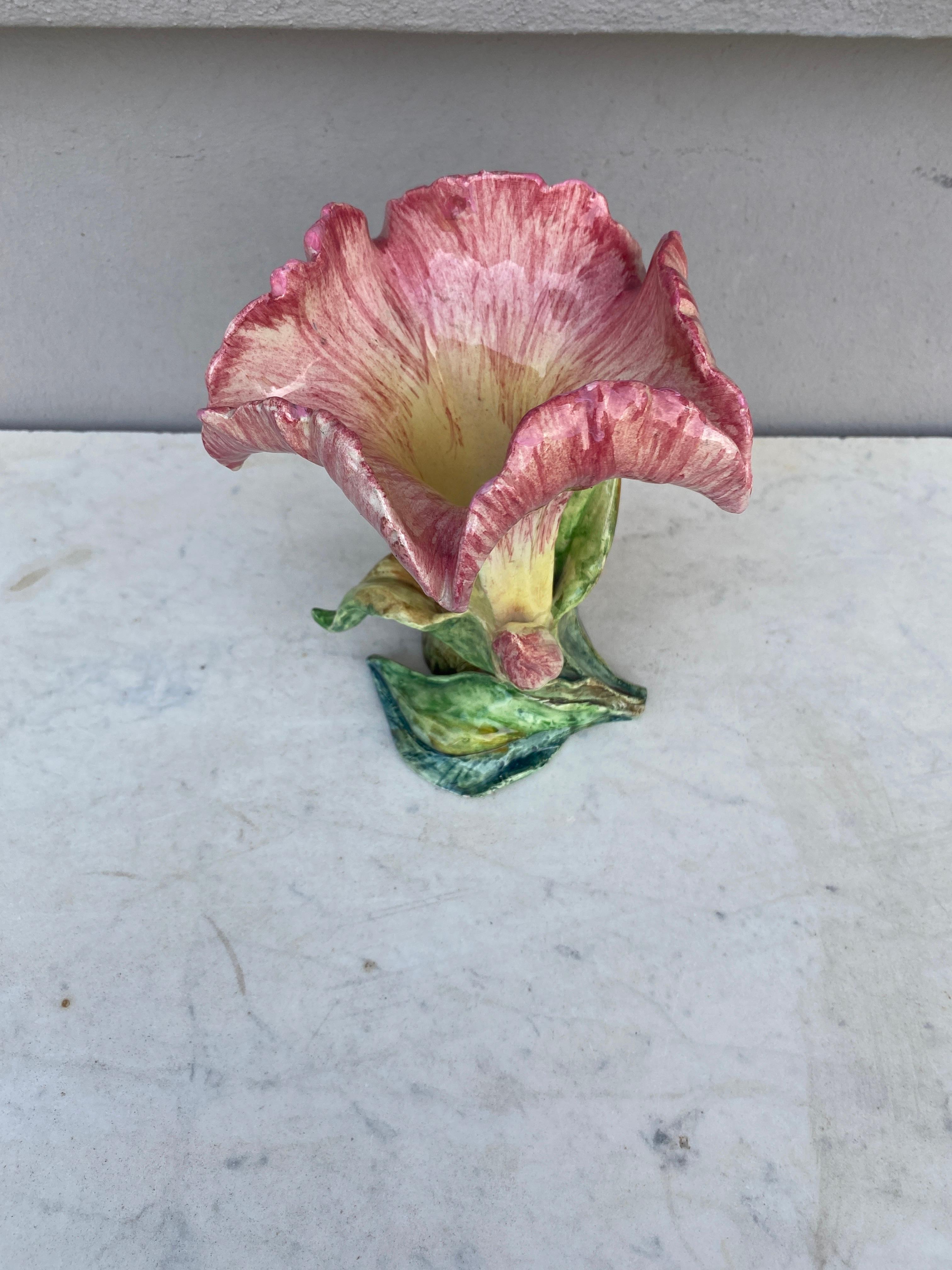 Raro vaso di giglio in maiolica Jerome Massier, circa 1900.
La famiglia Massier è nota per la qualità dei suoi smalti e dipinti unici. Hanno prodotto un'incredibile gamma di fiori come iris, rose, margherite, rose selvatiche, orchidee e viole. Hanno