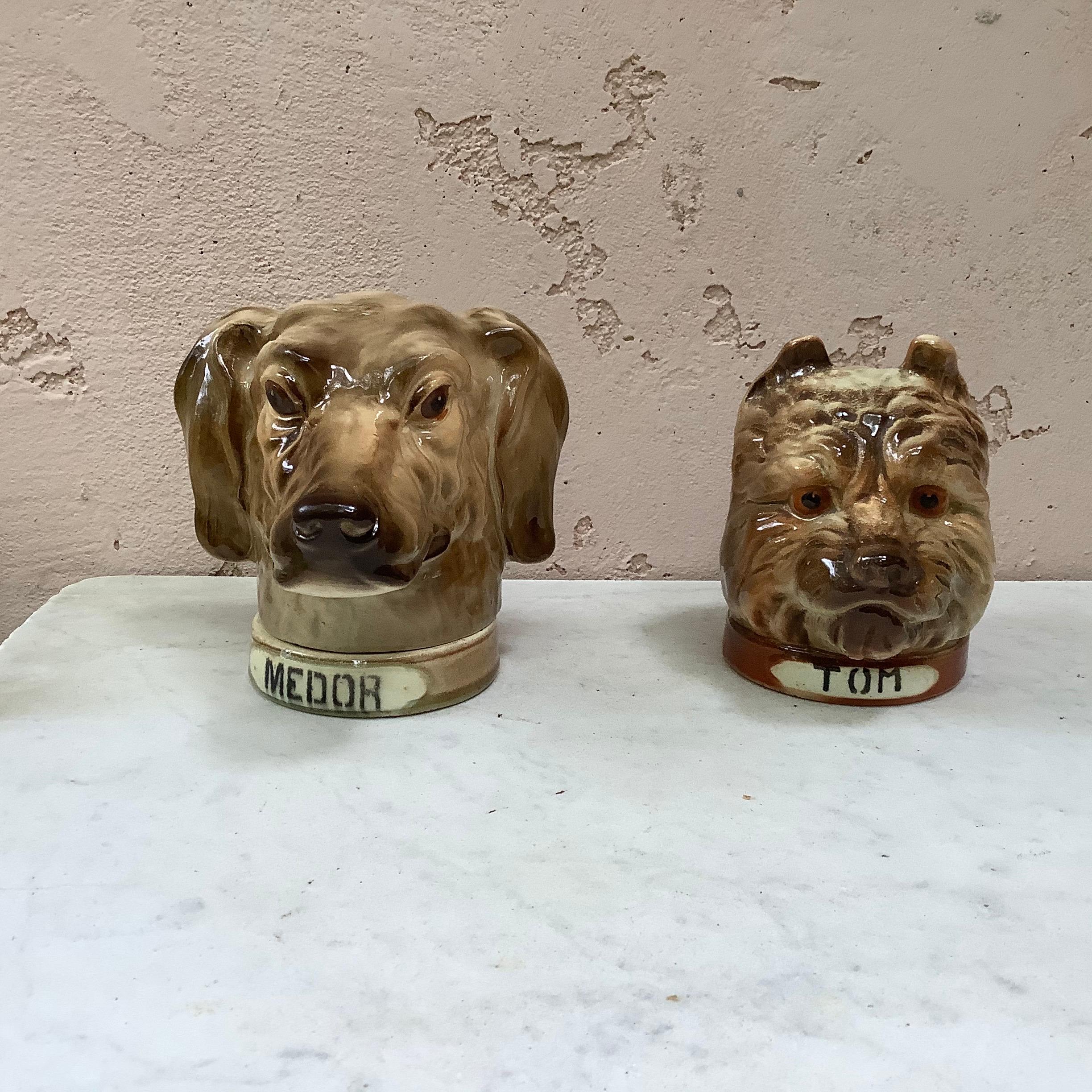 Tire-lire en majolique Tom Terrier Saint Clement:: datant d'environ 1900 Bon état - En vente à Austin, TX
