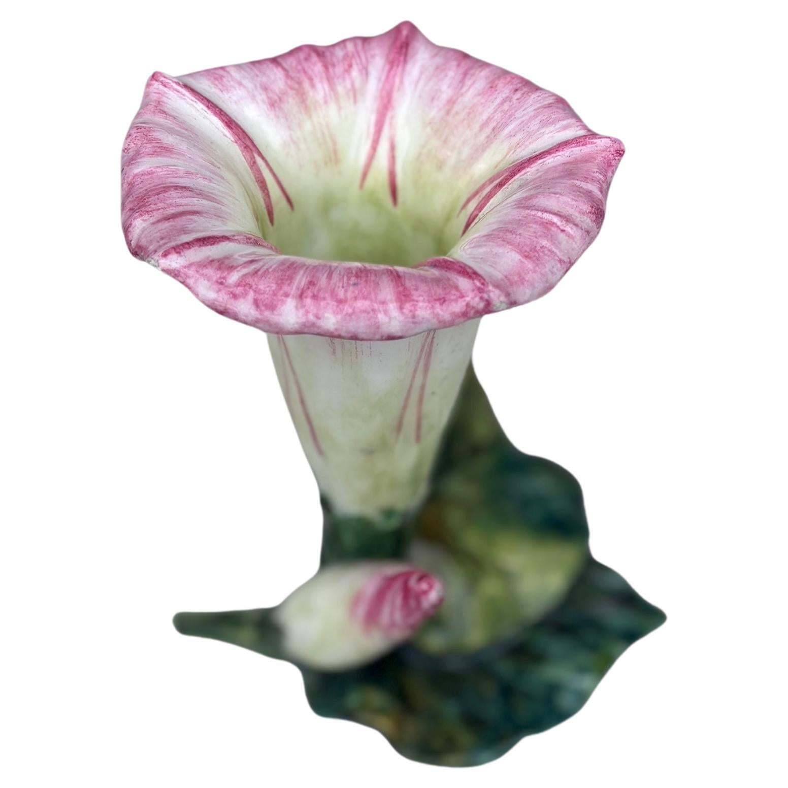 Rara gloria de la mañana de Majolica  Jarrón Jerome Massier, hacia 1900.
La familia Massier es conocida por la calidad de sus esmaltes y pinturas únicos. Producían una increíble gama de flores como iris, rosas, margaritas, rosas silvestres,