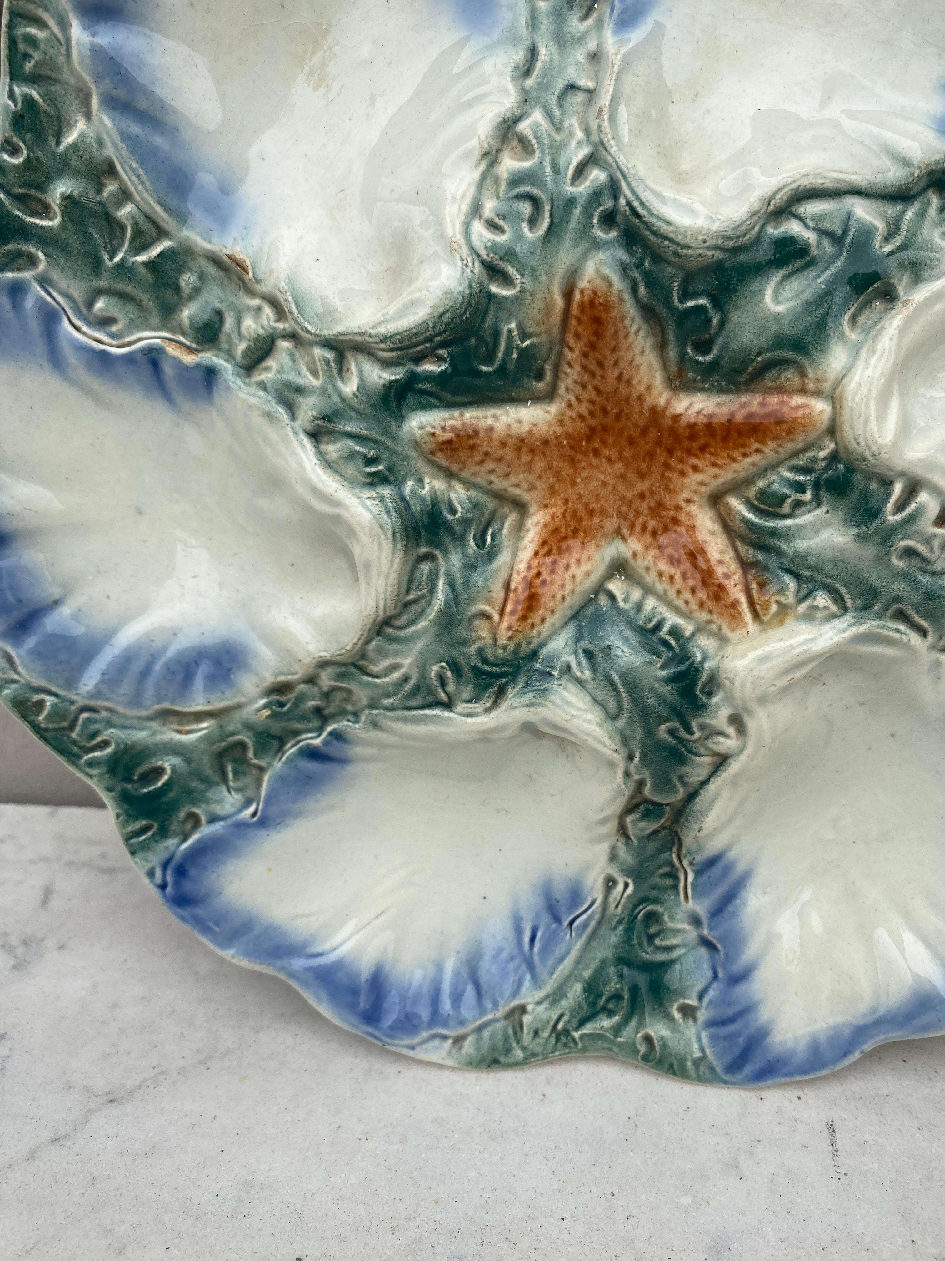 Assiette en majolique avec étoile de mer orange à six godets bleu et blanc entourée d'algues vertes Digoin ( Est de la France ), vers 1900.