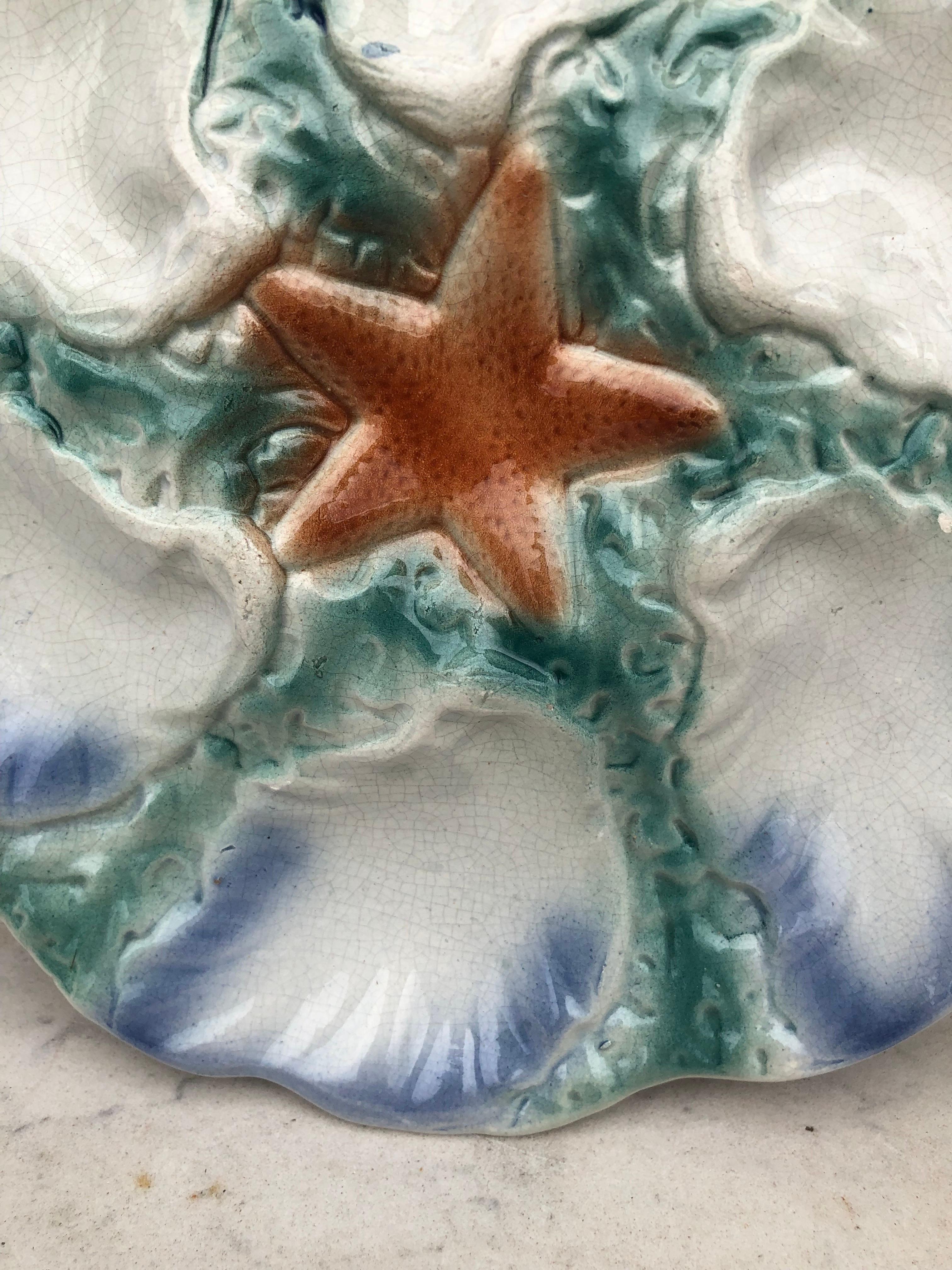 French Provincial Majolica Oyster Blue Starfish Plate Digoin, circa 1900