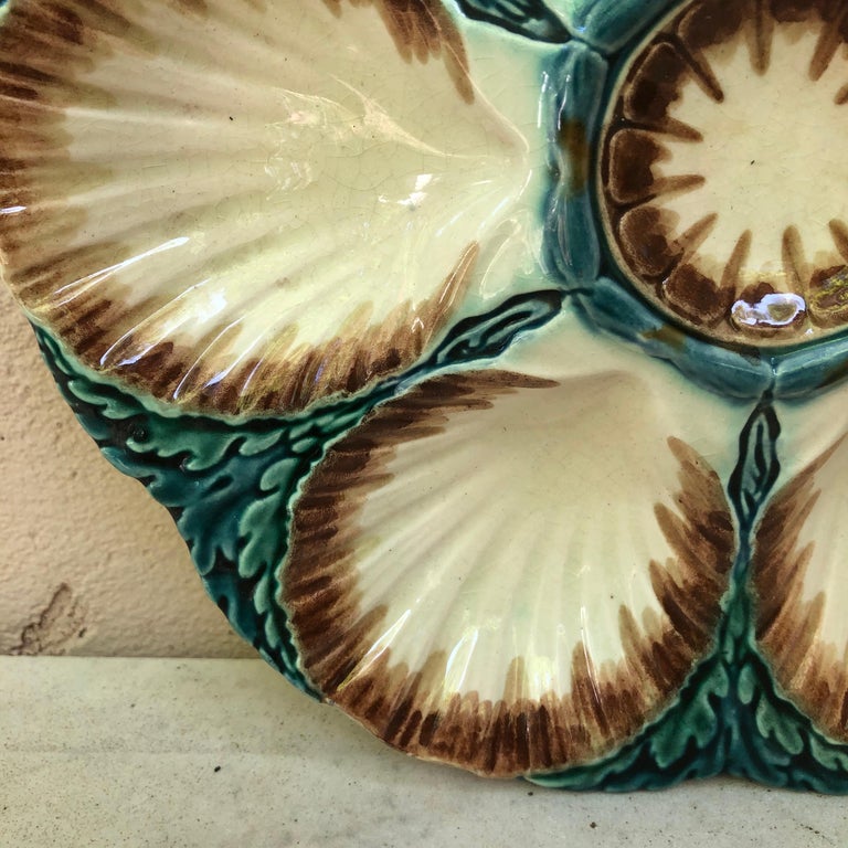 French Provincial Majolica Oyster Plate Sarreguemines, circa 1880 For Sale