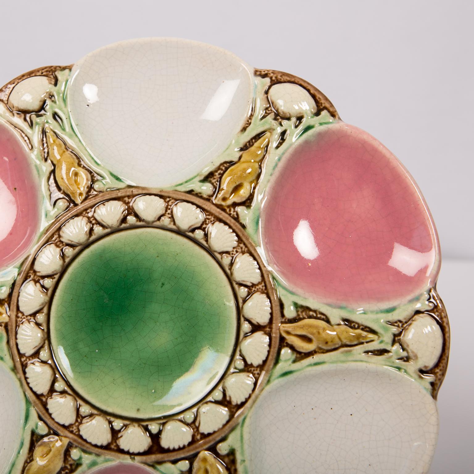 20th Century Majolica Oyster Plate with Sea Shells