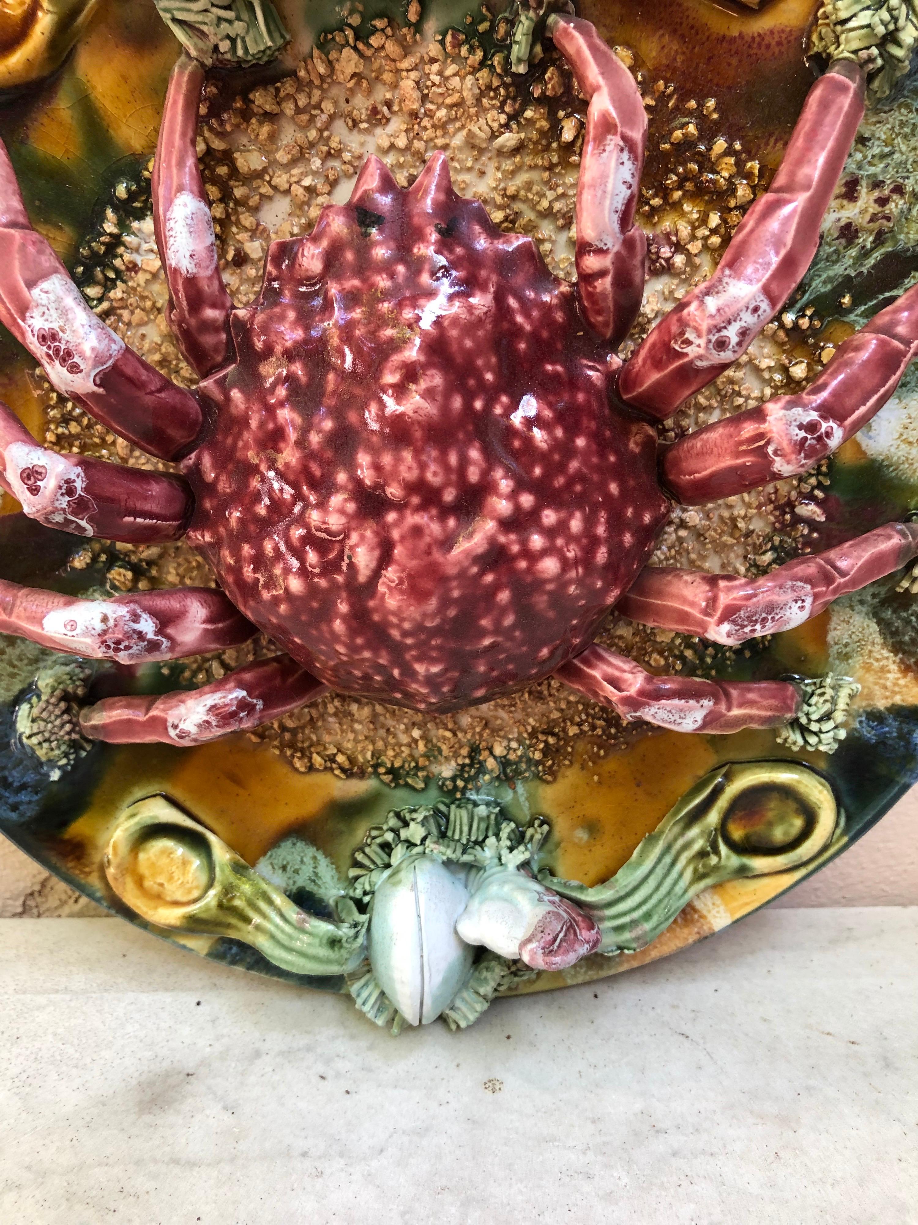 Majolica faience Palissy Portuguese spidercrab platter, circa 1940.
Decorated with mussels and shells,
Nautical.
Diameter / 10.5 inches.