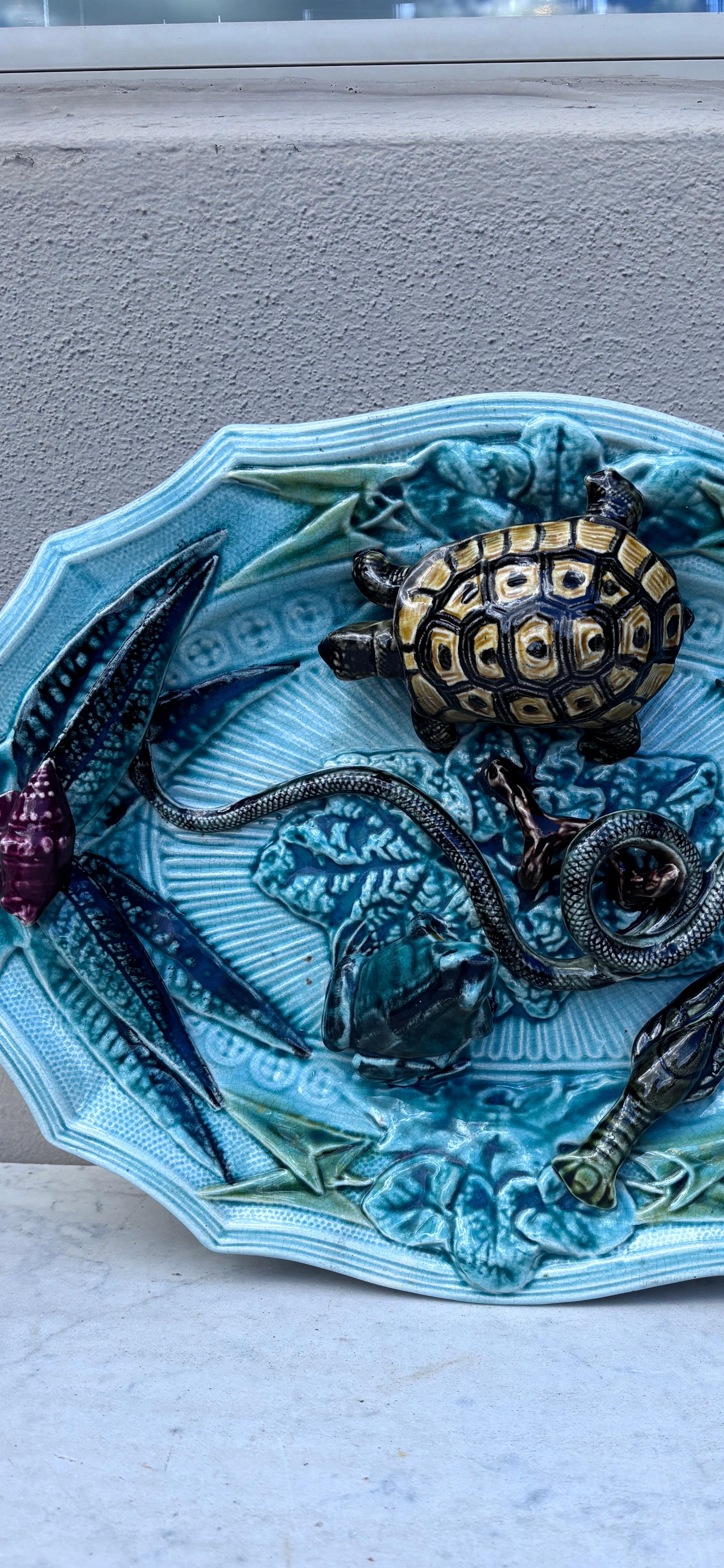 Début du 20ème siècle Plat mural en majolique de Palissy serpent et tortue Circa 1920 en vente